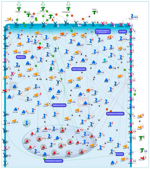 Cracking the Code of Neuronal Cell Fate