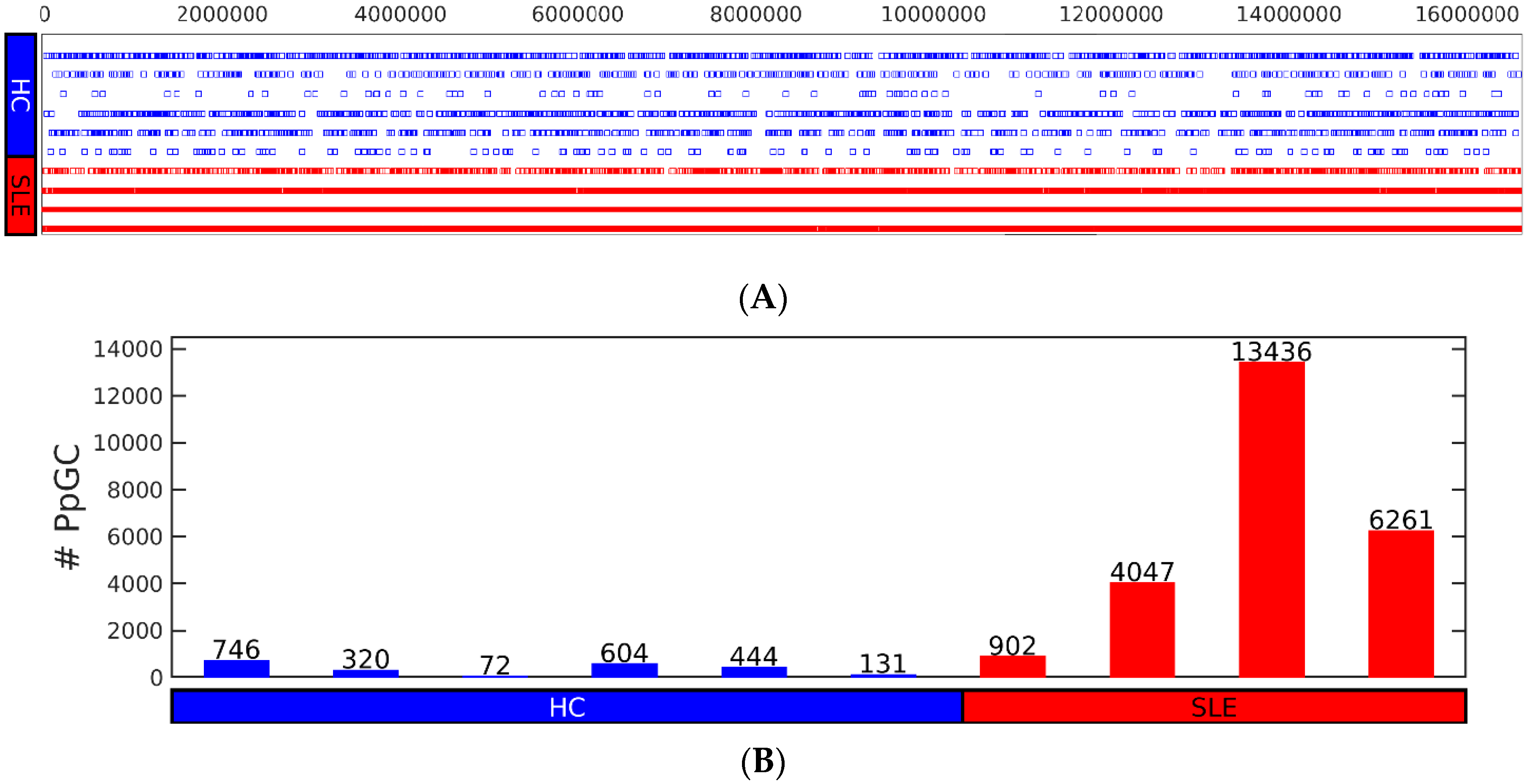 Cells 12 01061 g003a Cells 12 01061 g003a