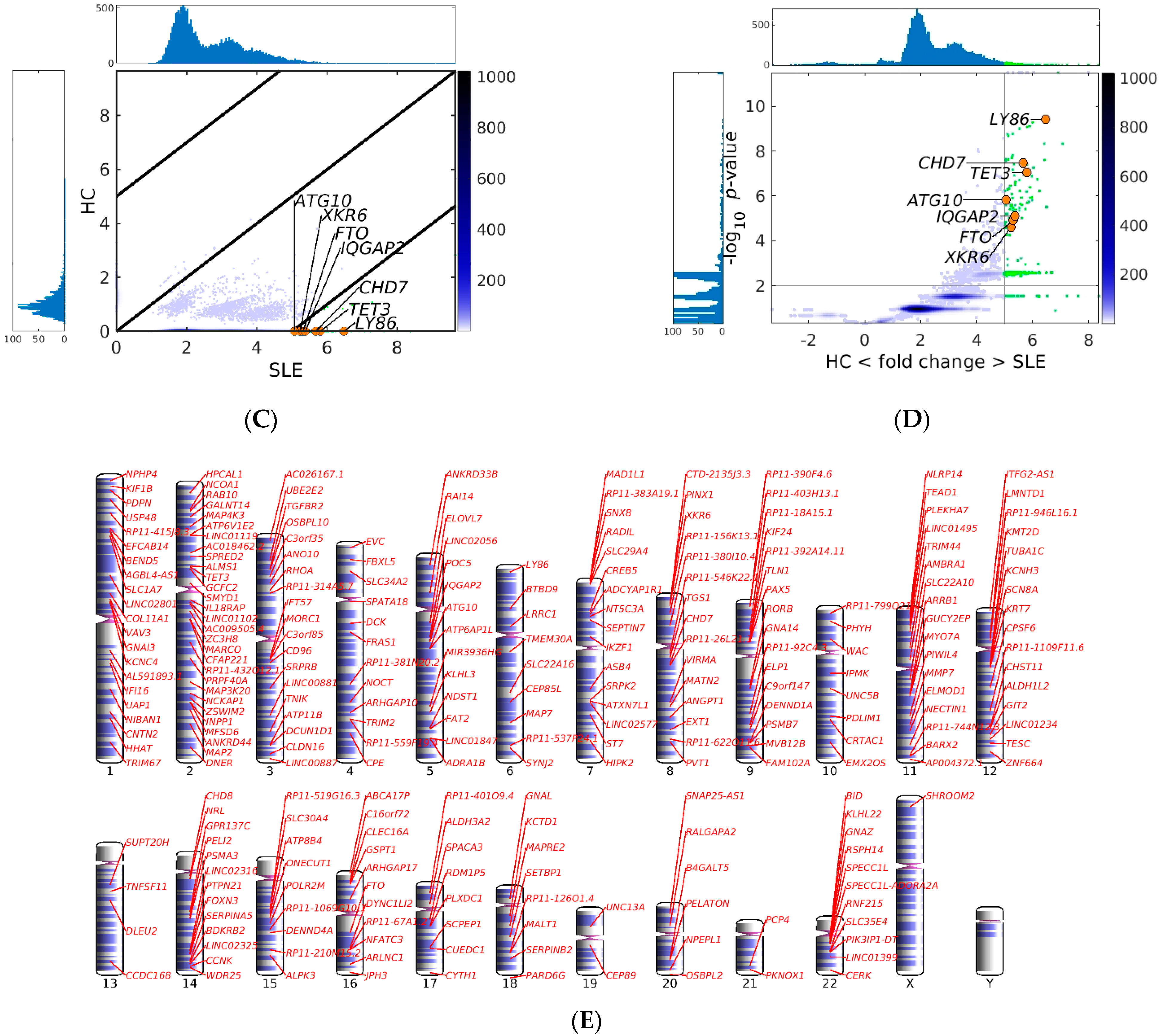 Cells 12 01061 g003b Cells 12 01061 g003b