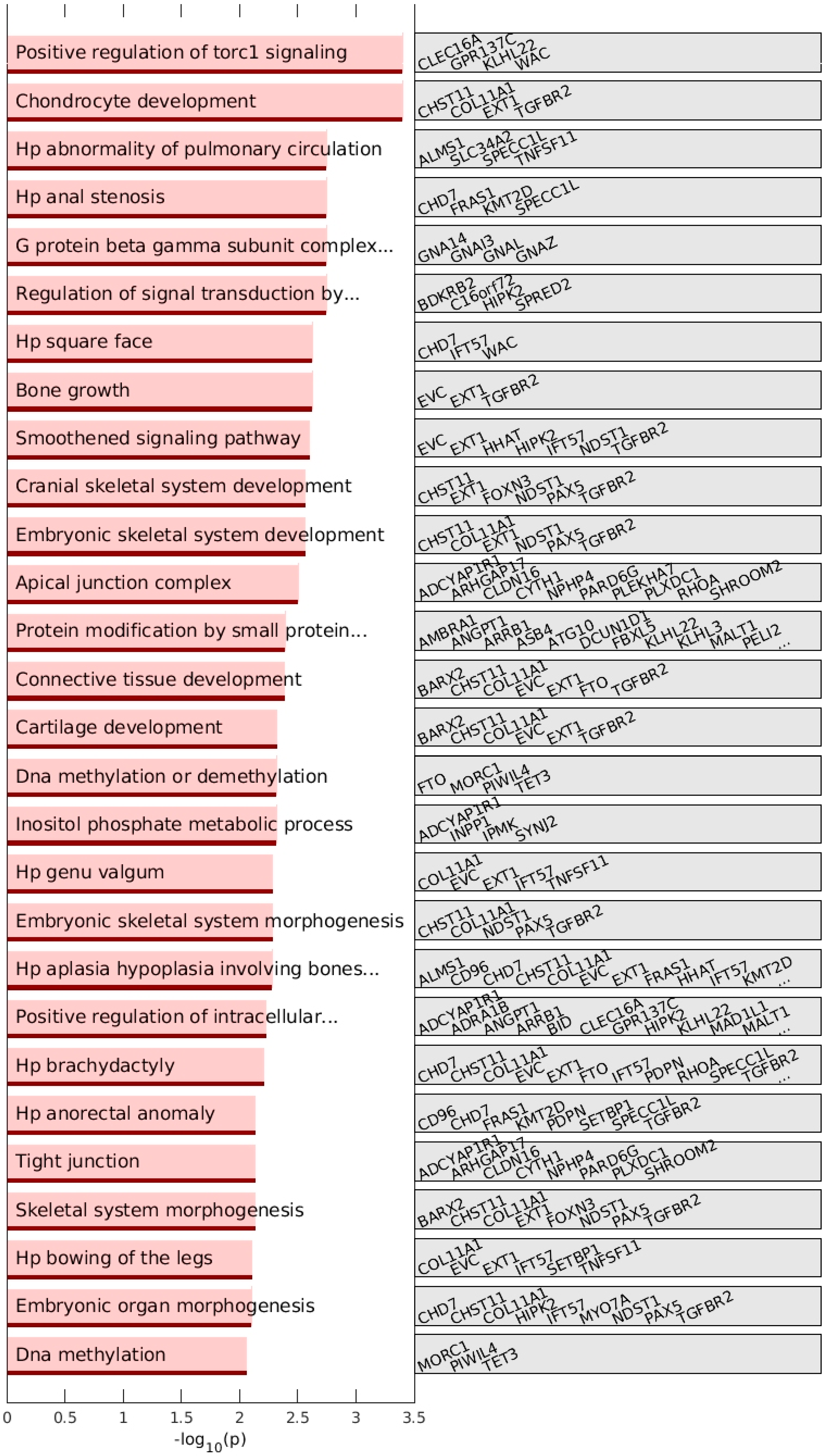 Cells 12 01061 g006 Cells 12 01061 g006