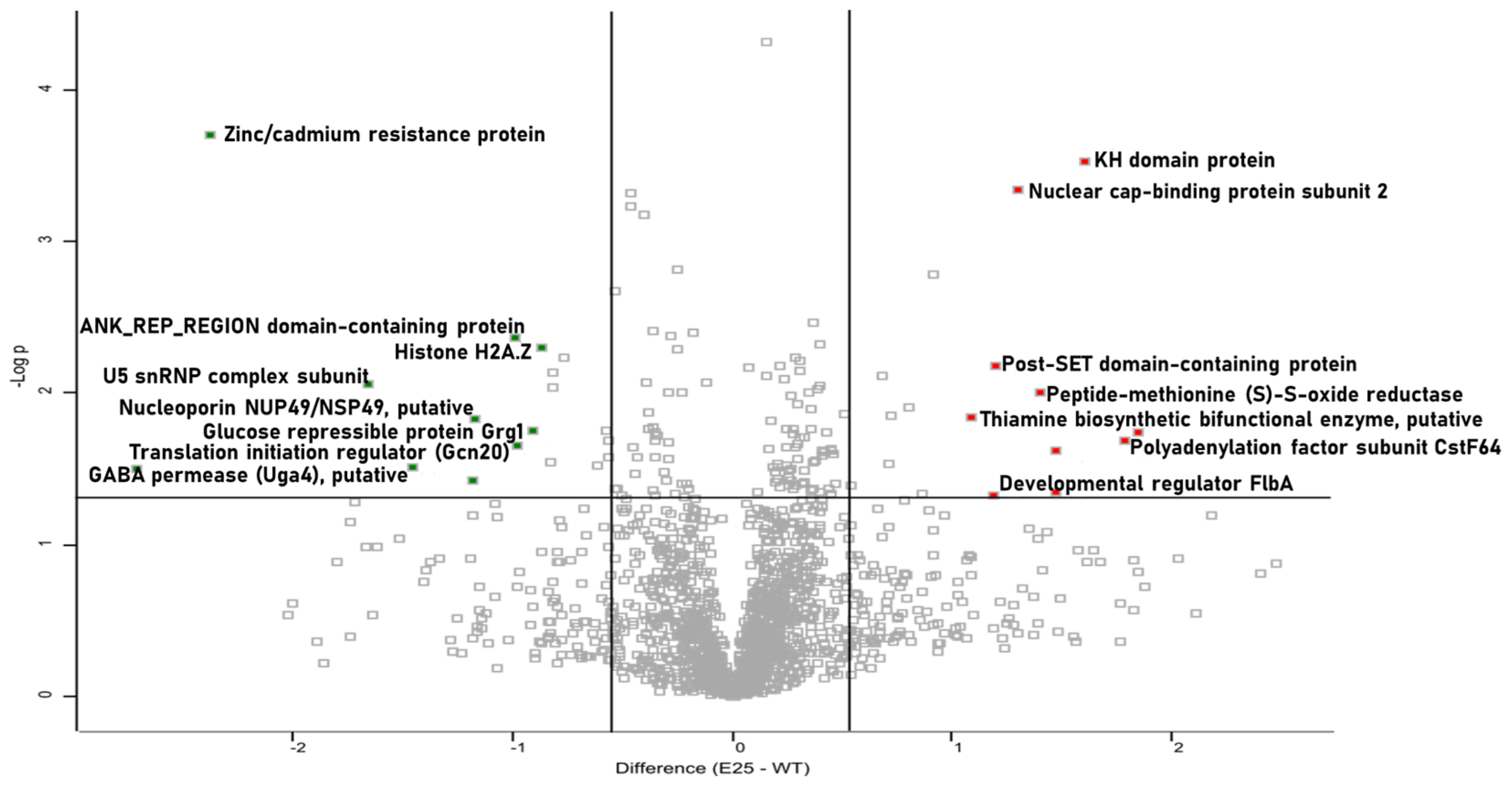 Cells 12 01065 g005 Cells 12 01065 g005