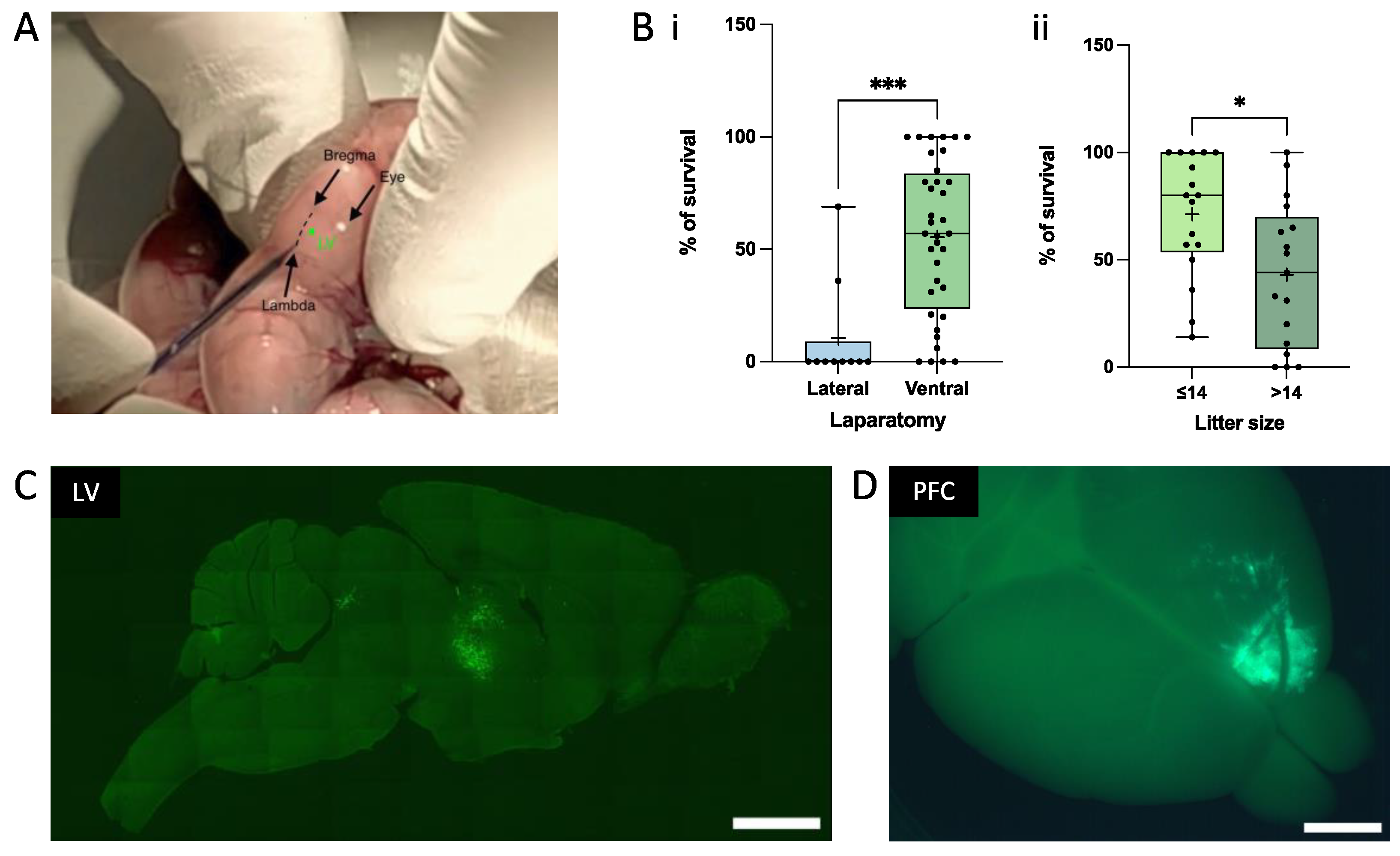 Cells 12 01067 g002 Cells 12 01067 g002