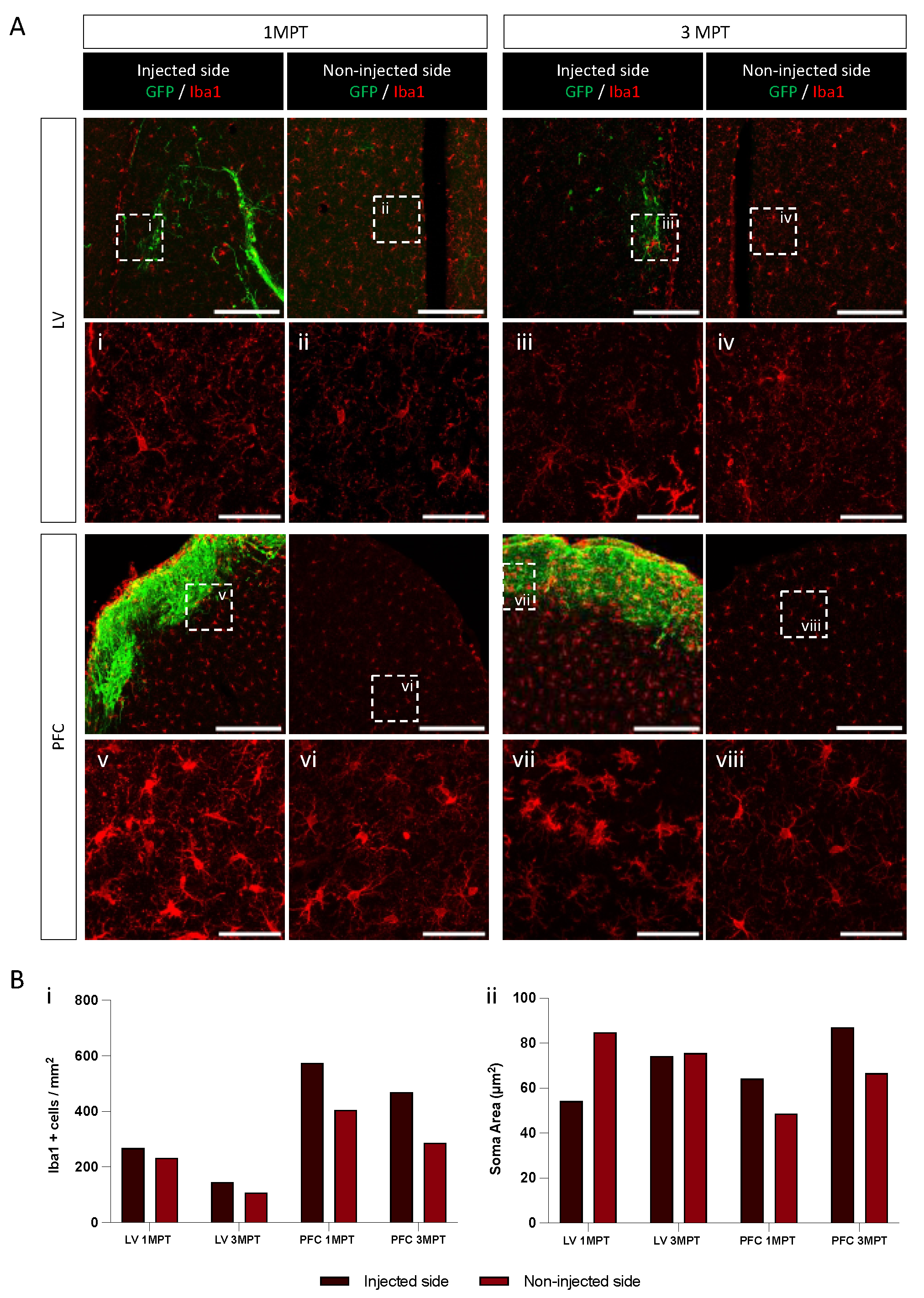 Cells 12 01067 g006 Cells 12 01067 g006
