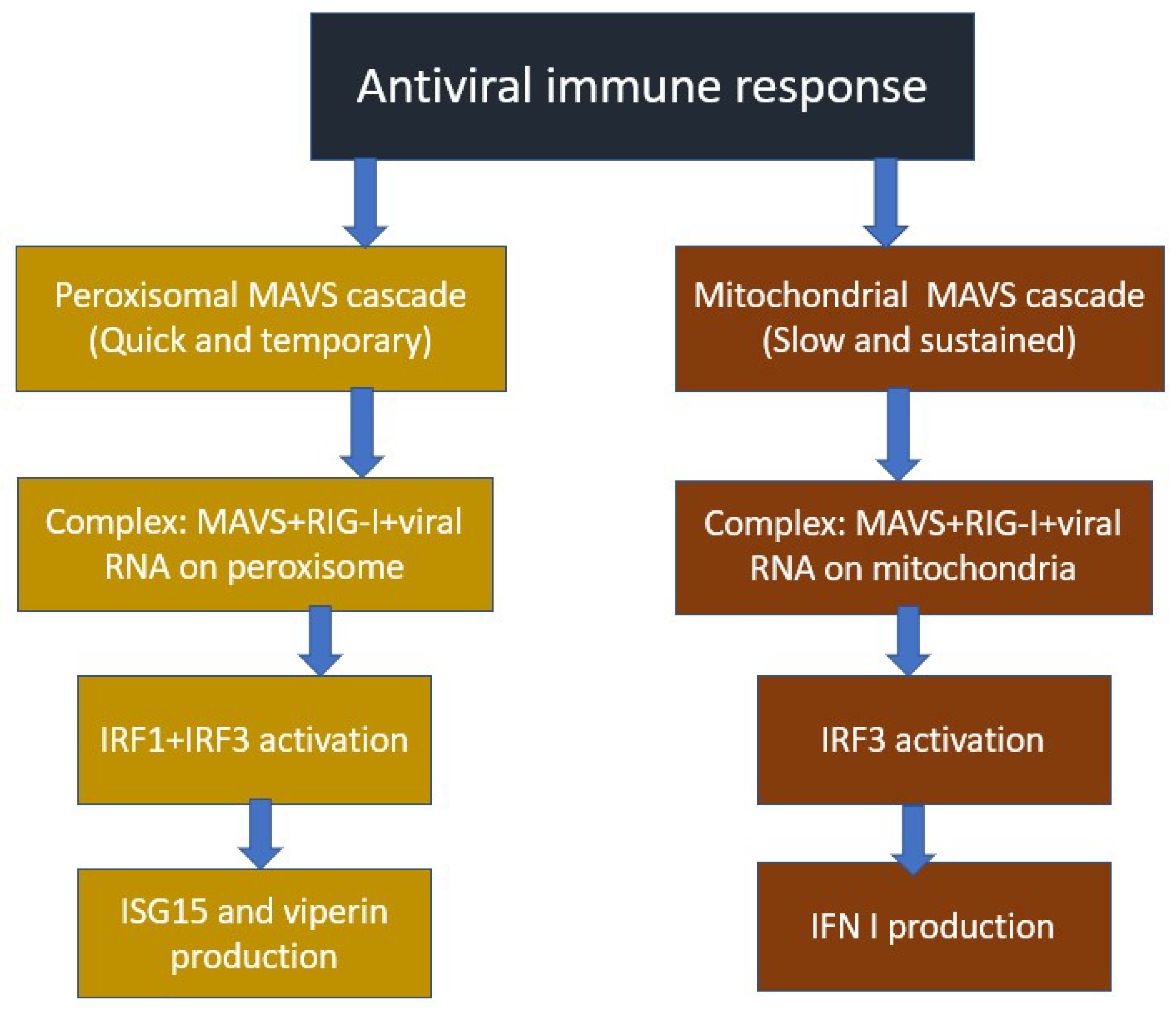 Cells 12 01072 g001 Cells 12 01072 g001