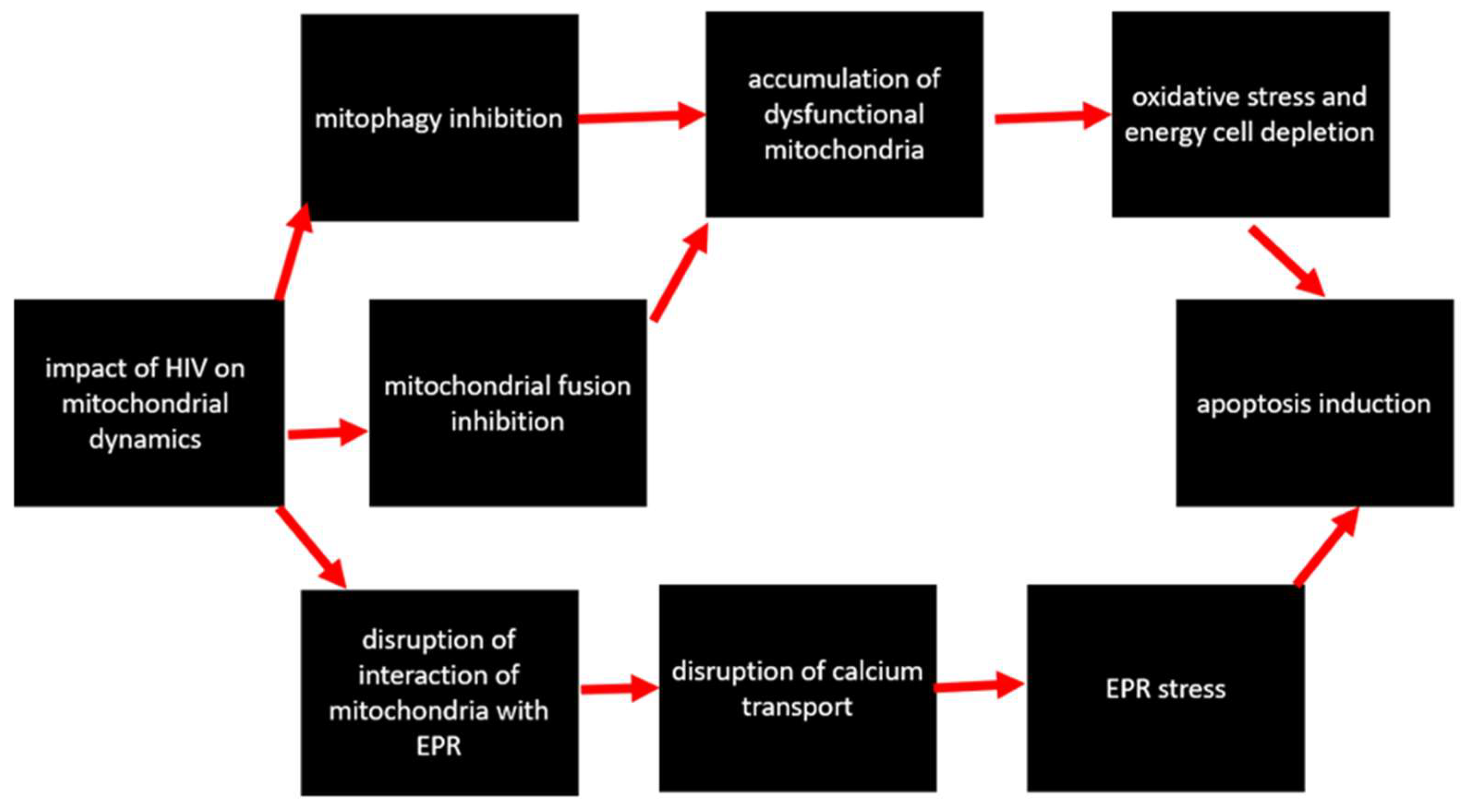 Cells 12 01072 g005 Cells 12 01072 g005