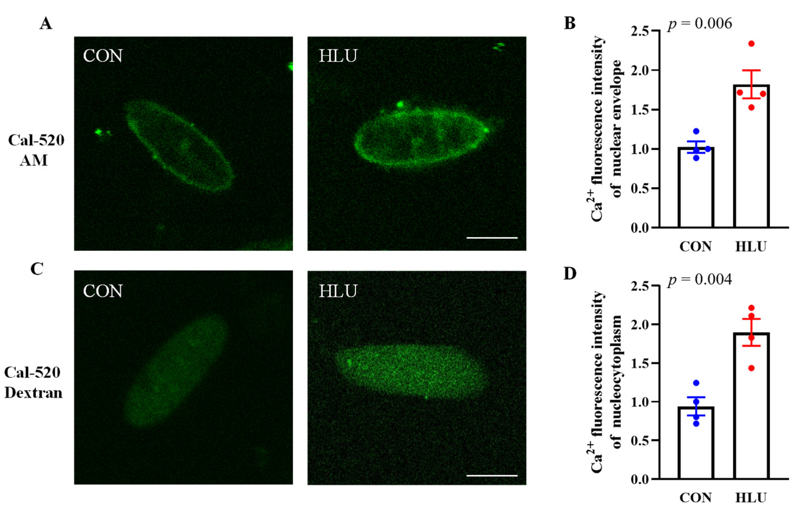 Cells 12 01077 g003 Cells 12 01077 g003