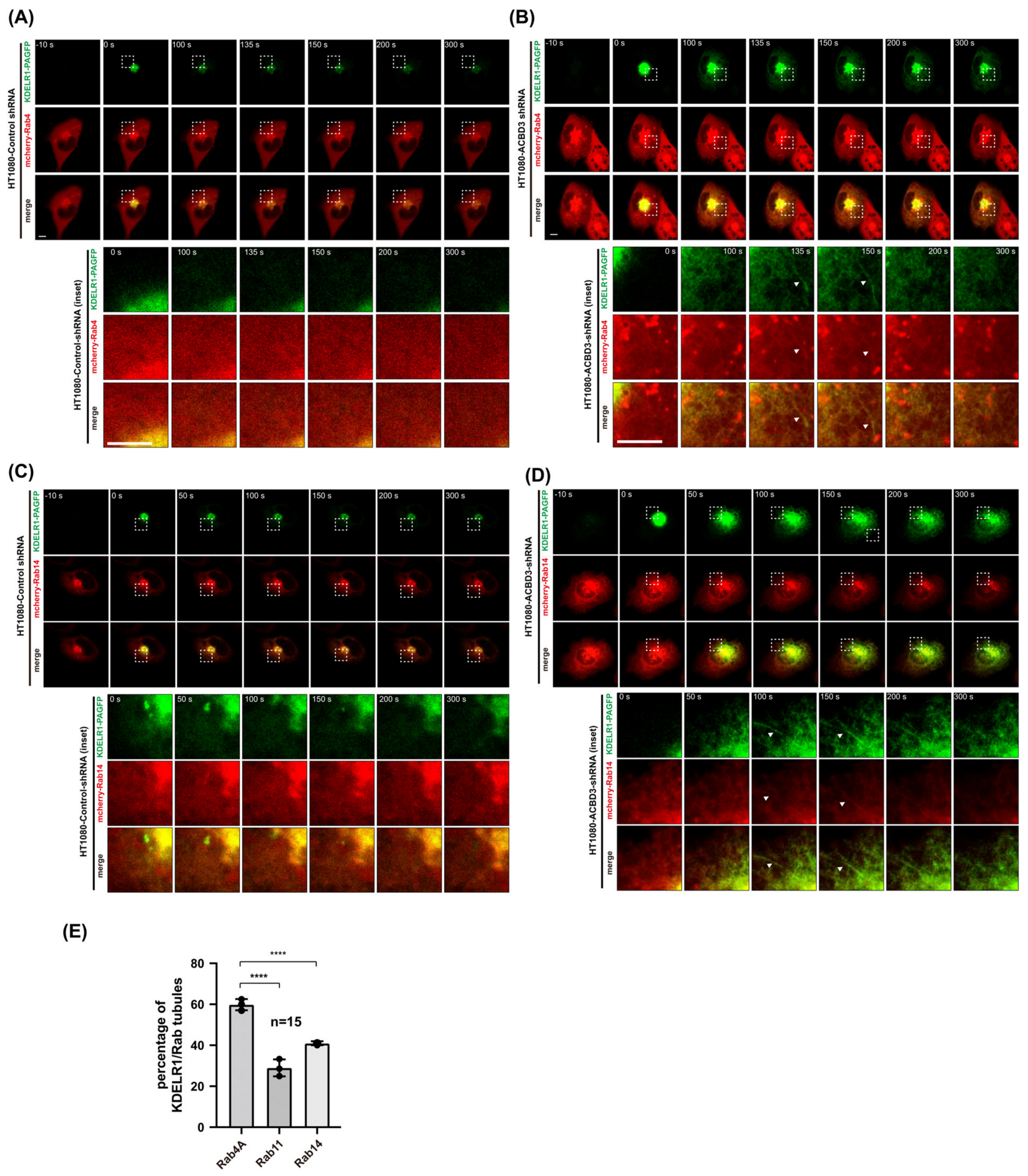 Cells 12 01079 g003 Cells 12 01079 g003