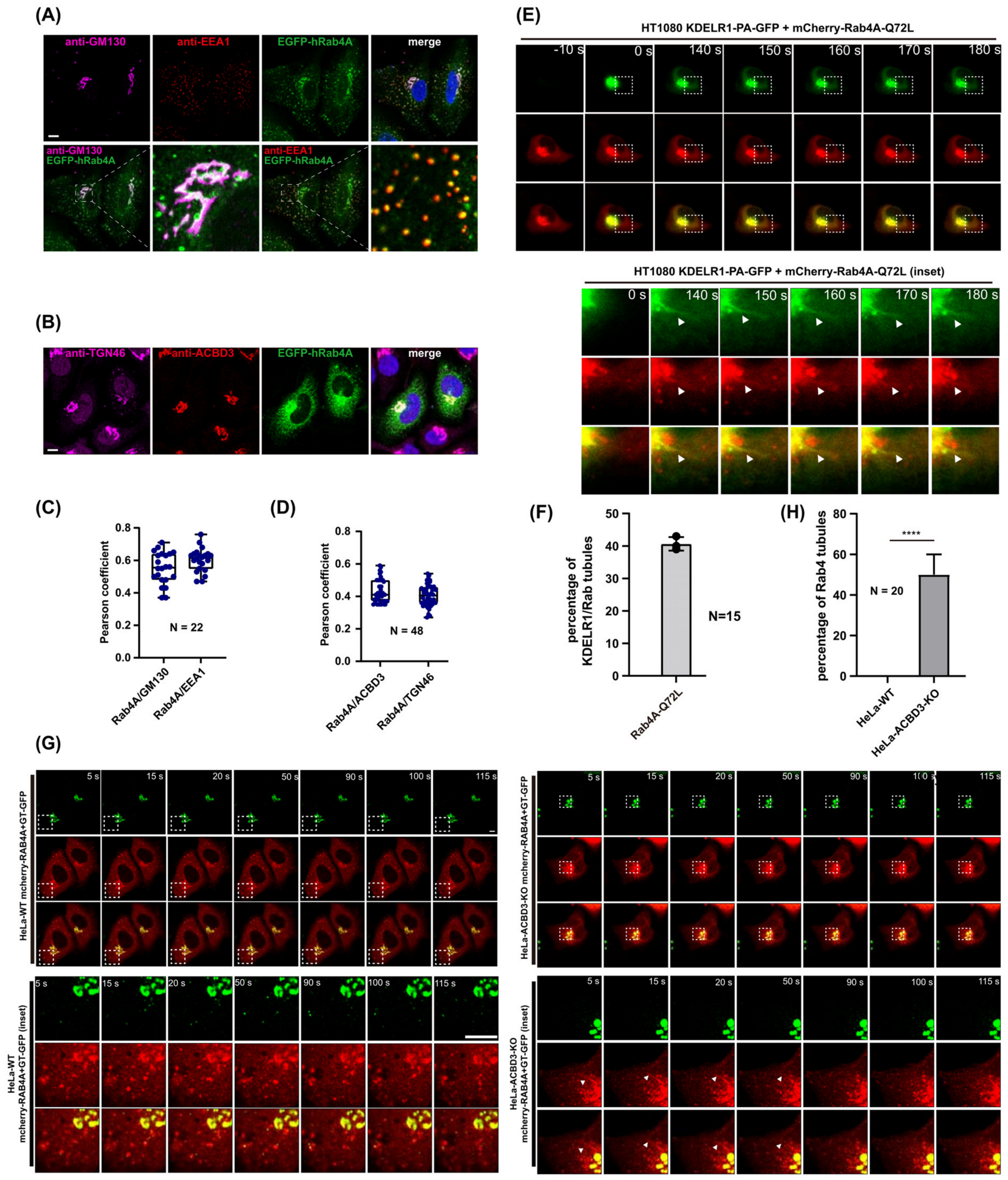 Cells 12 01079 g004 Cells 12 01079 g004