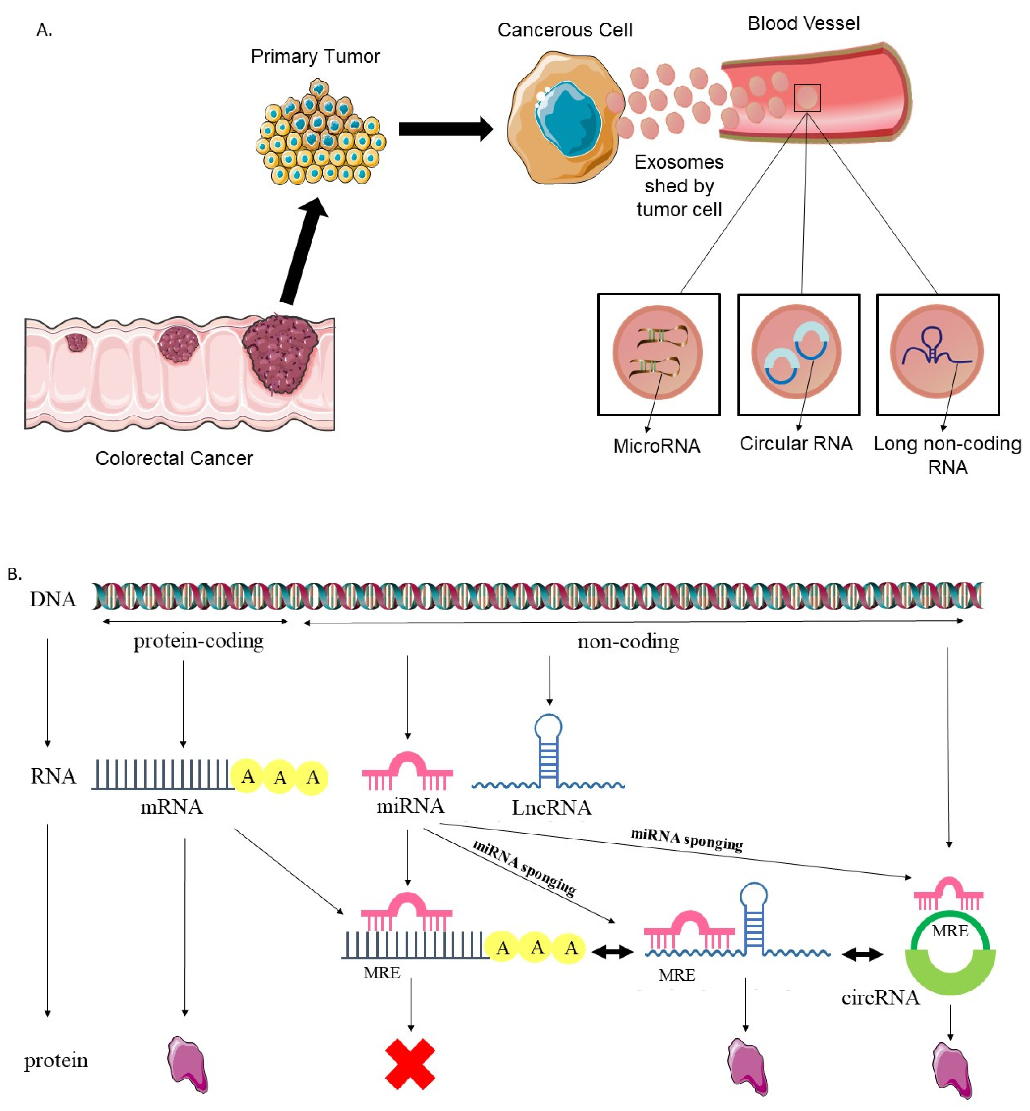 Cells 12 01081 g001 Cells 12 01081 g001