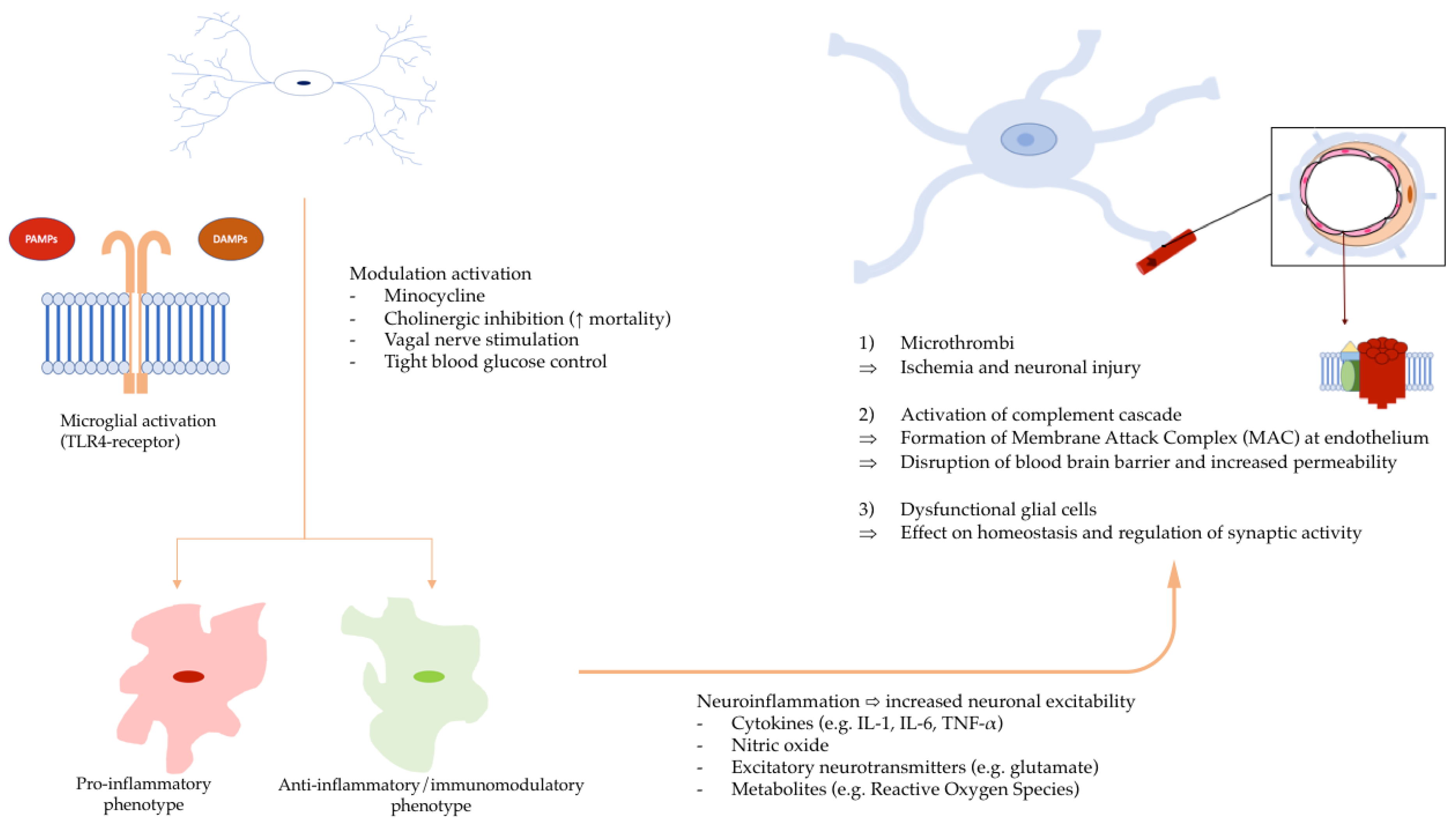 Cells 12 01088 g003 Cells 12 01088 g003