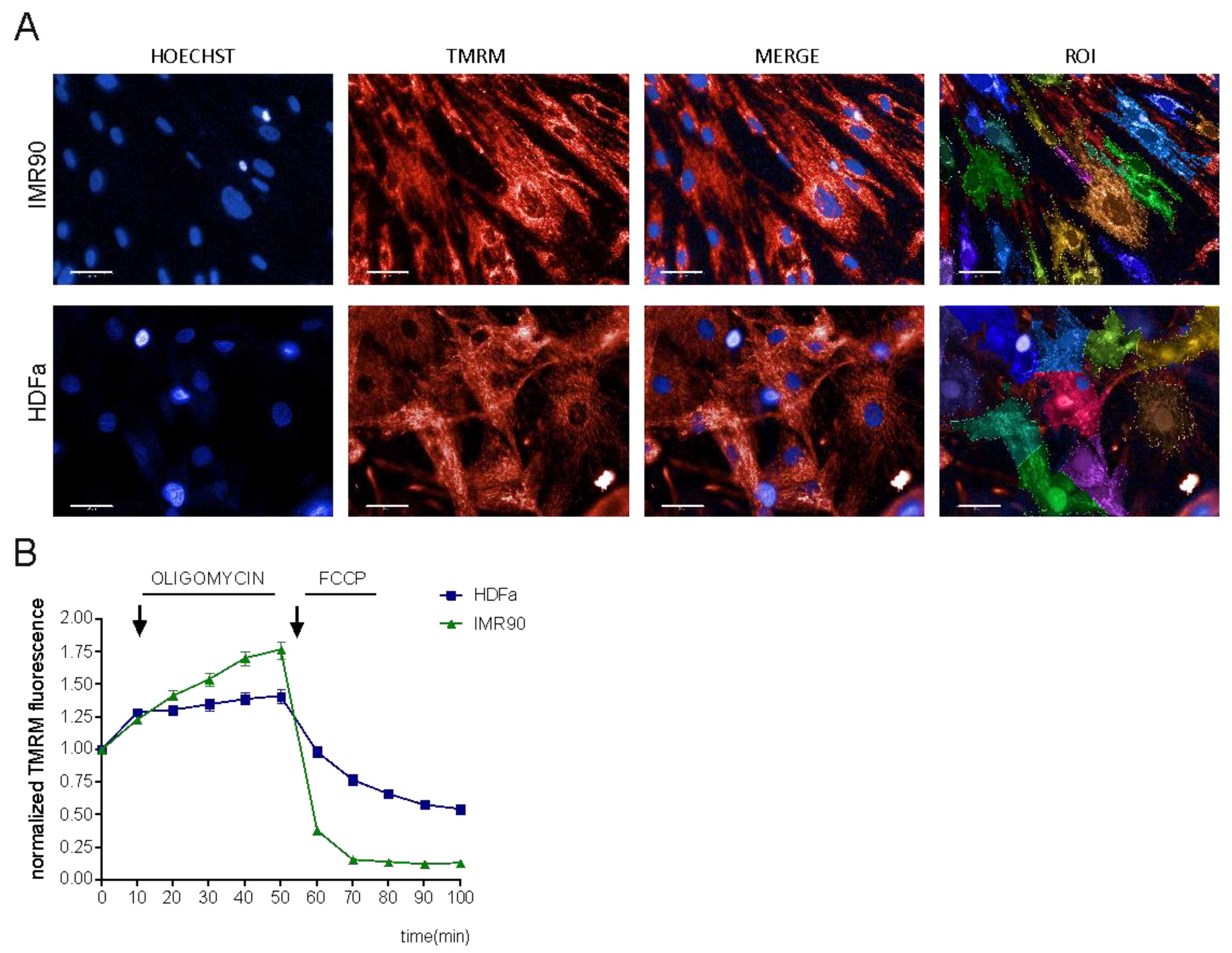 Cells 12 01089 g001 Cells 12 01089 g001