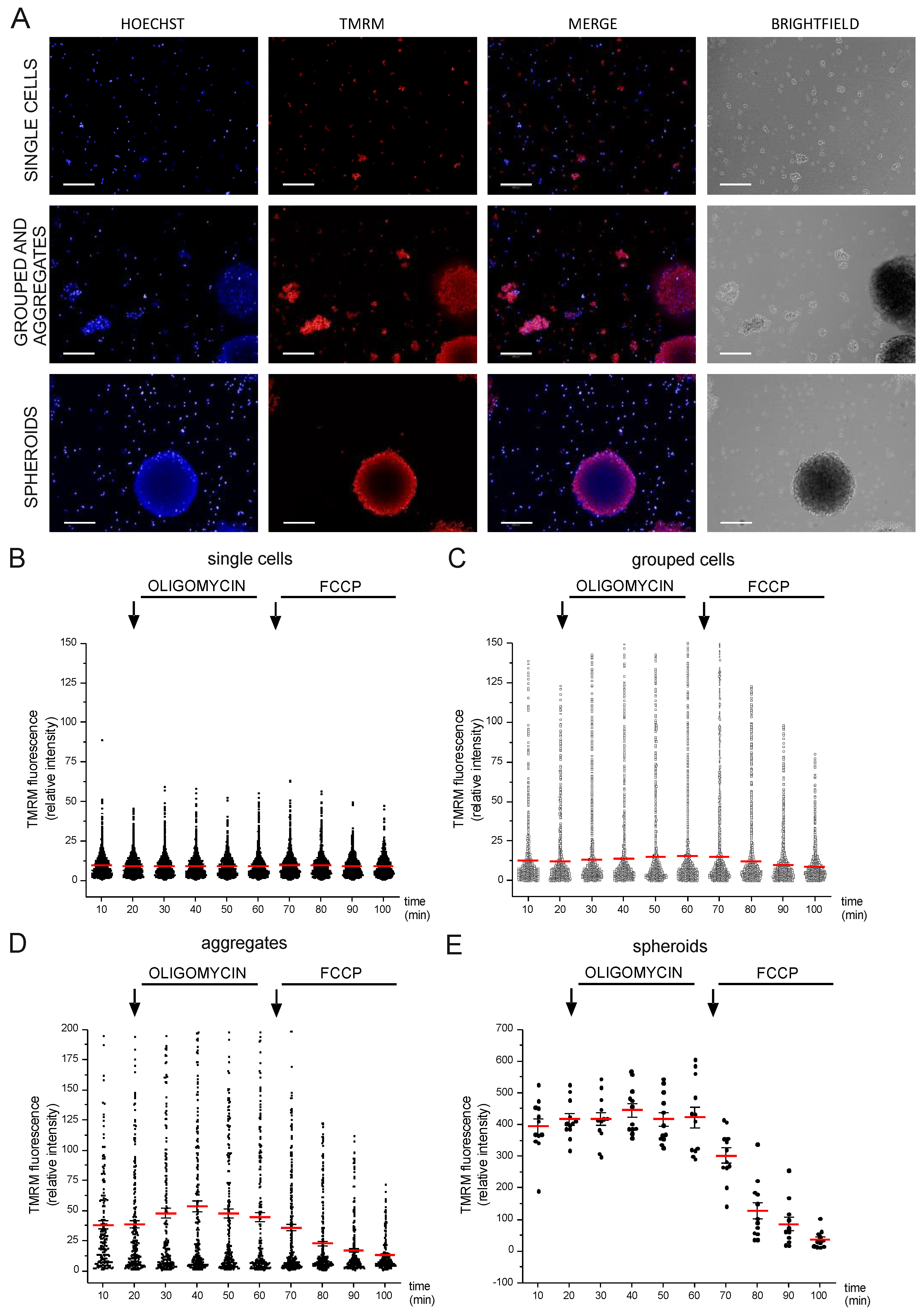 Cells 12 01089 g002 Cells 12 01089 g002