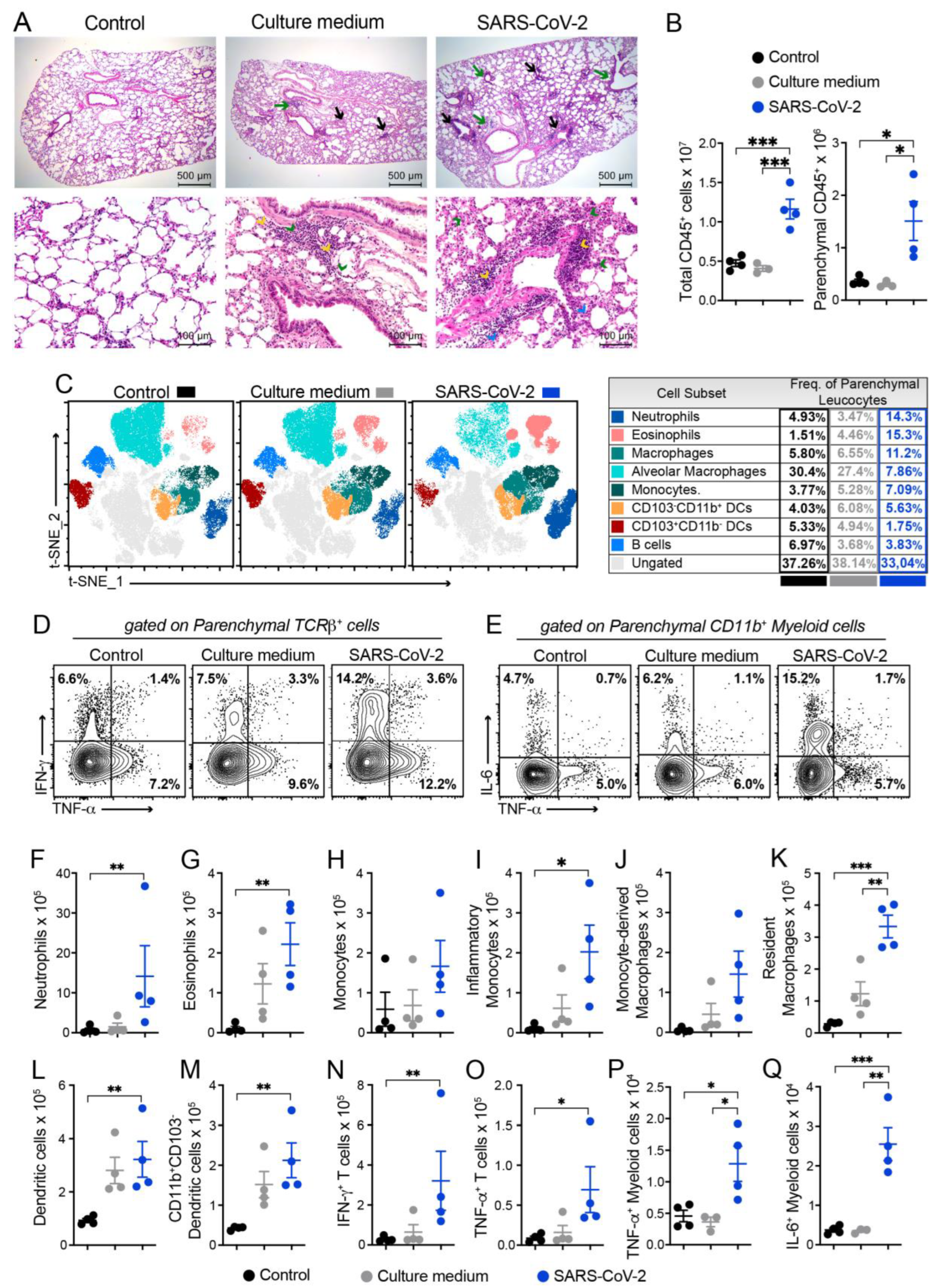 Cells 12 01092 g002 Cells 12 01092 g002
