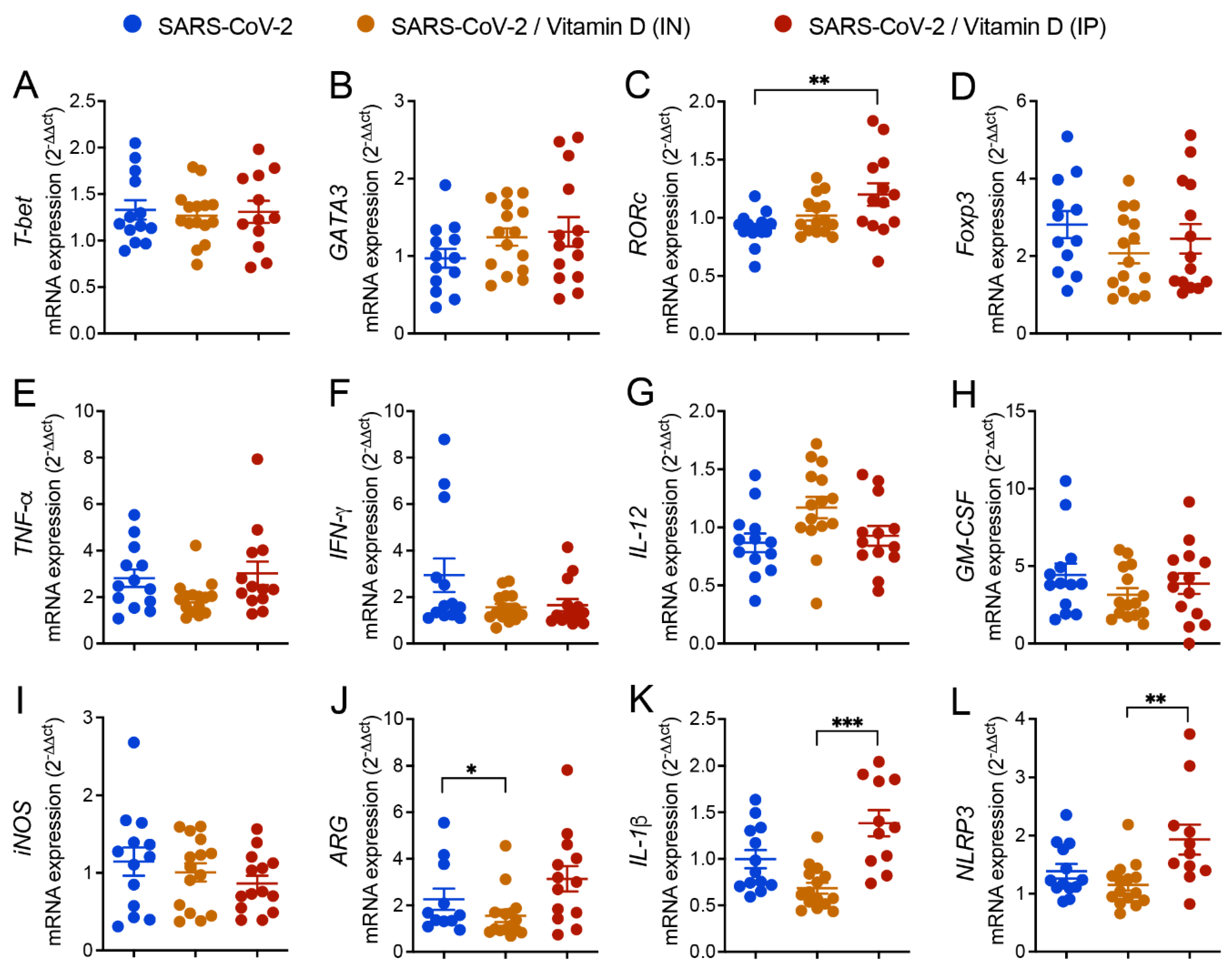 Cells 12 01092 g004 Cells 12 01092 g004