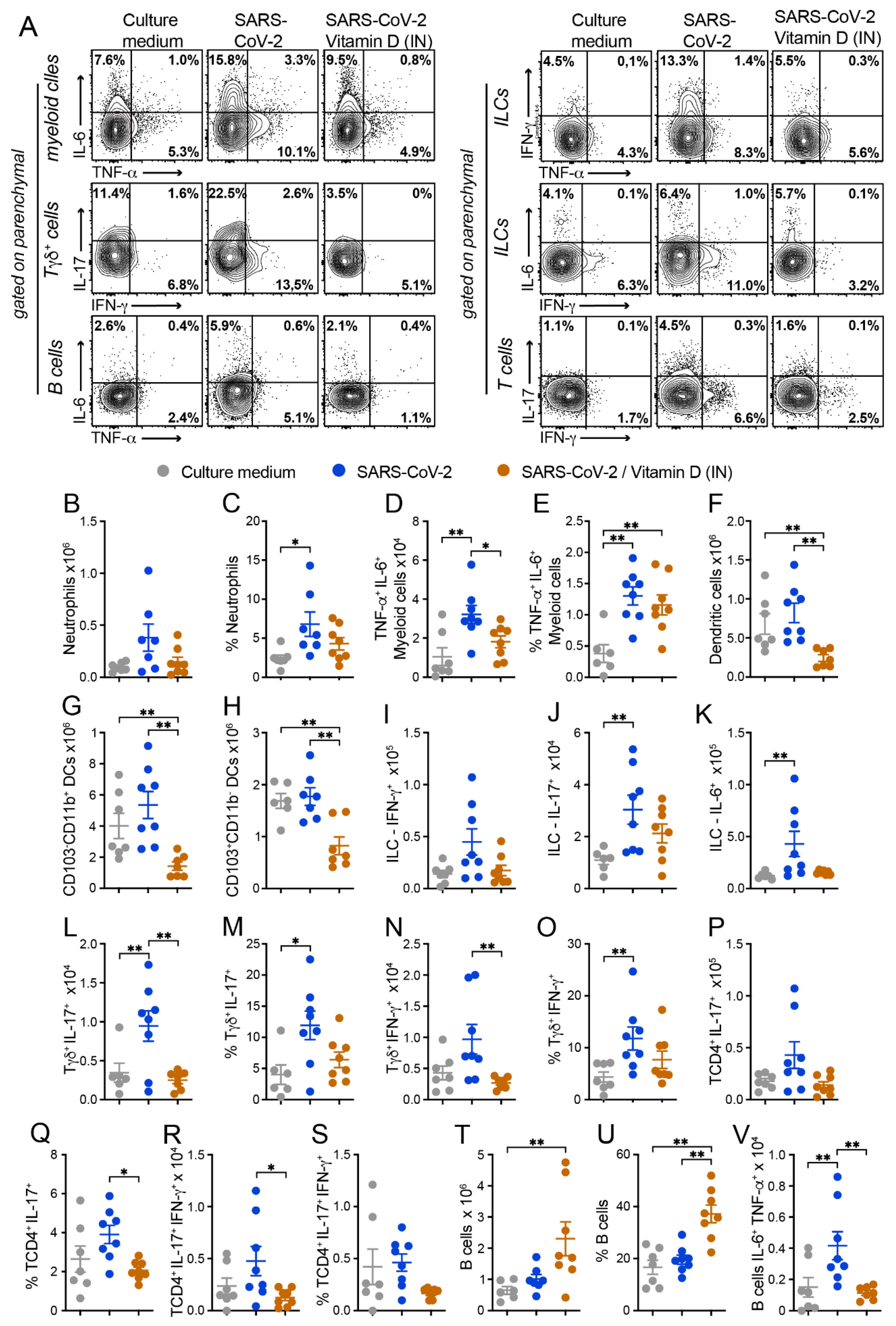 Cells 12 01092 g006 Cells 12 01092 g006