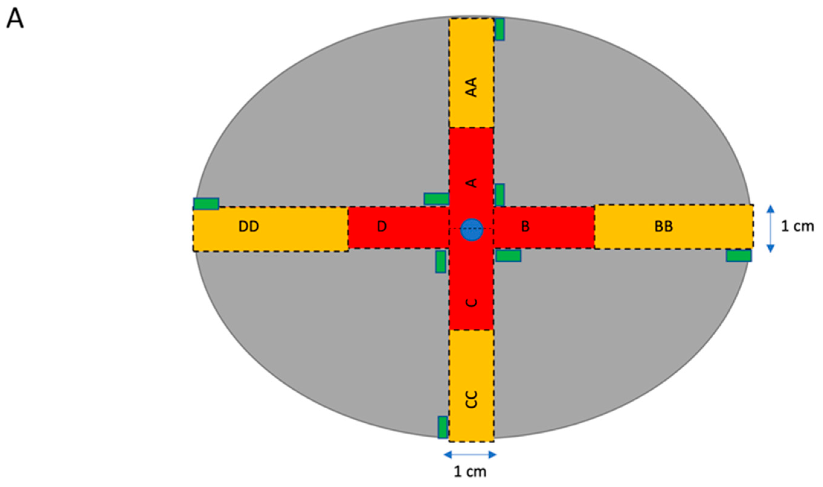 Cells 12 01093 g001a Cells 12 01093 g001a