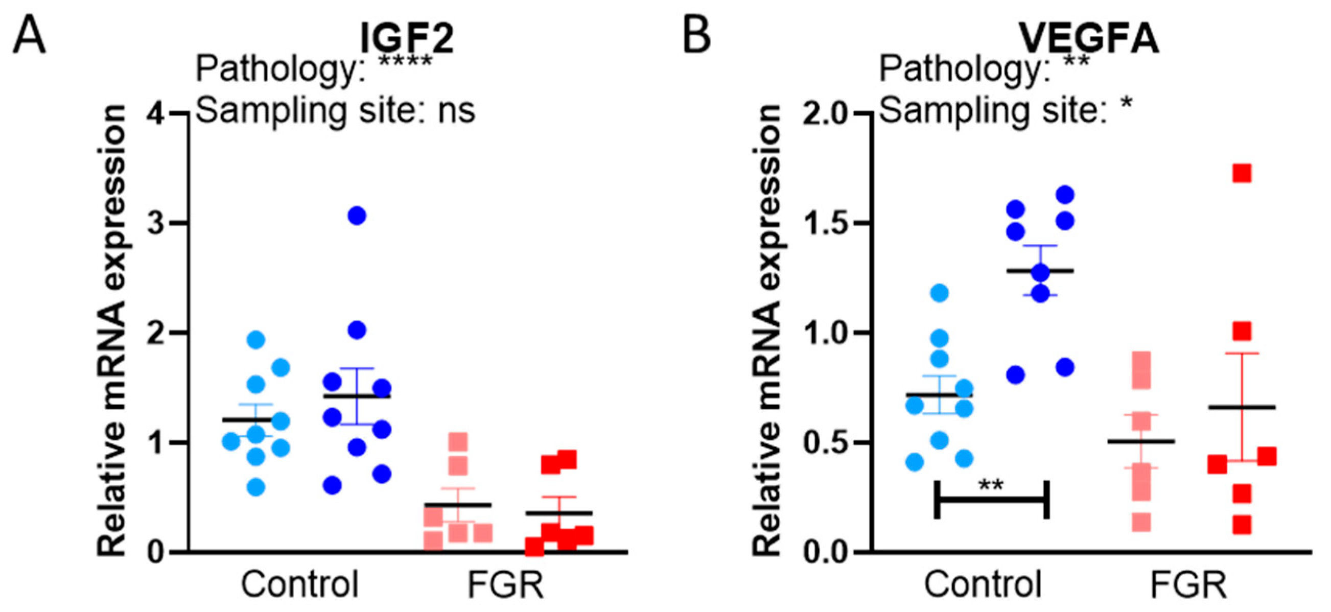 Cells 12 01093 g002a Cells 12 01093 g002a