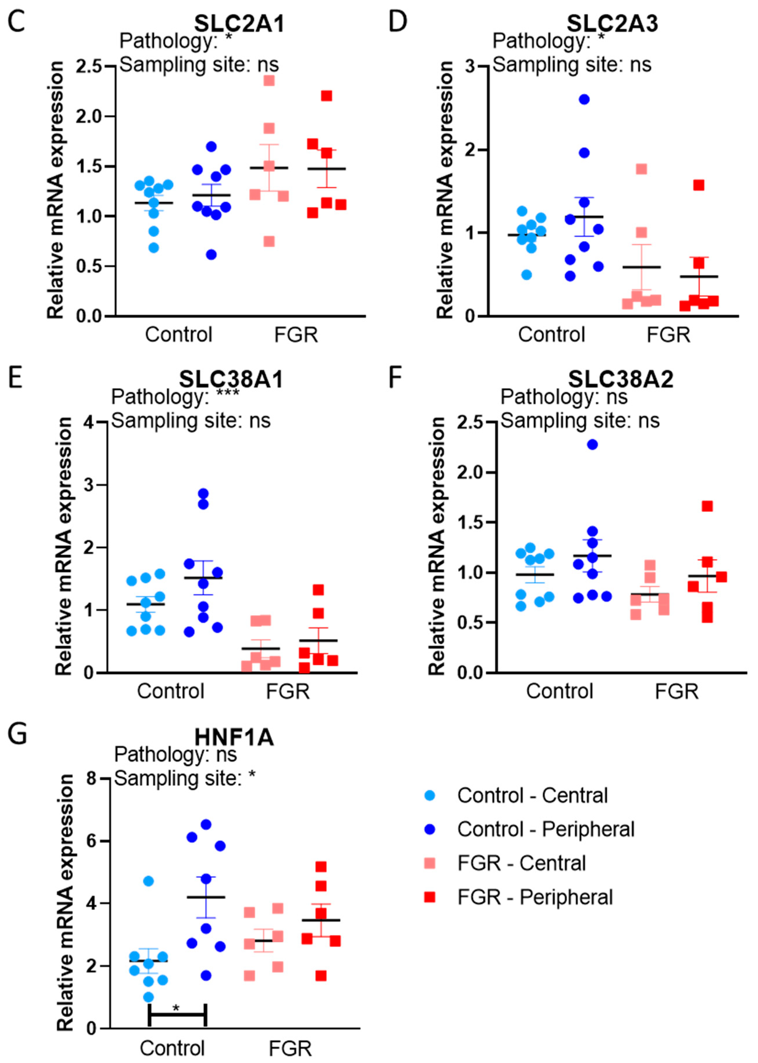 Cells 12 01093 g002b Cells 12 01093 g002b