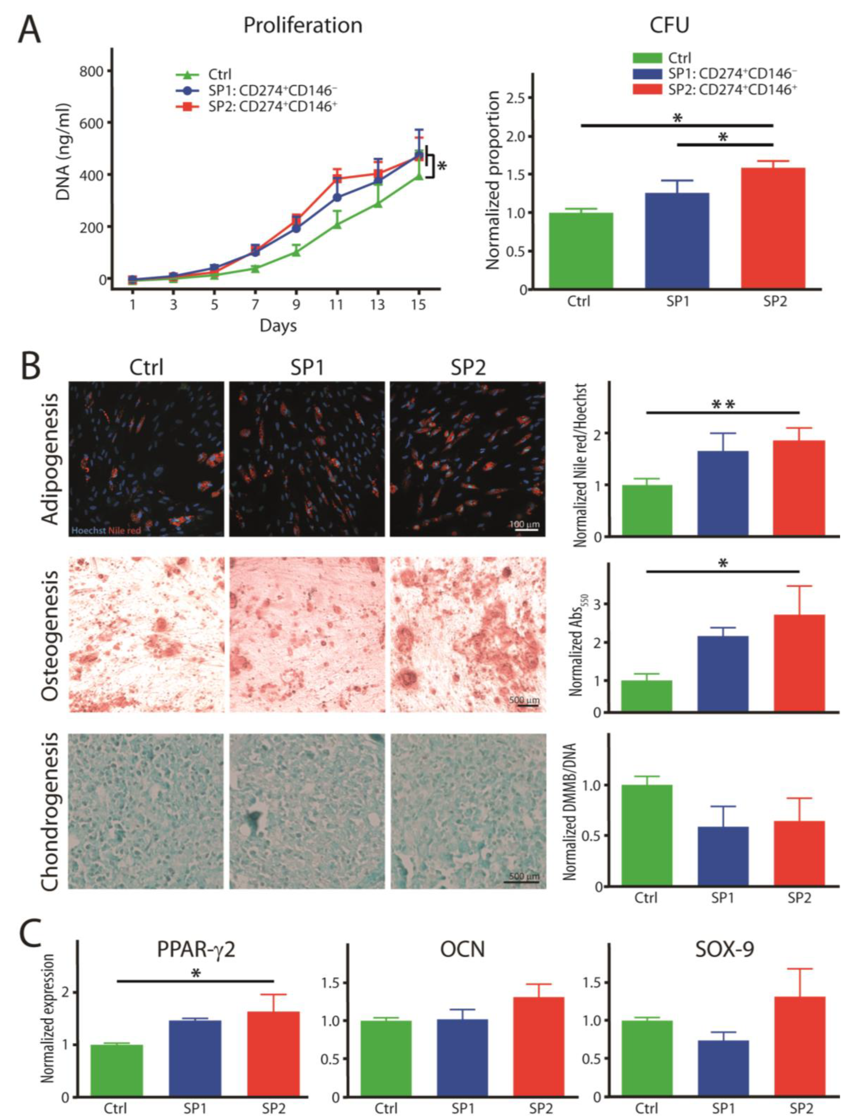 Cells 12 01095 g004 550