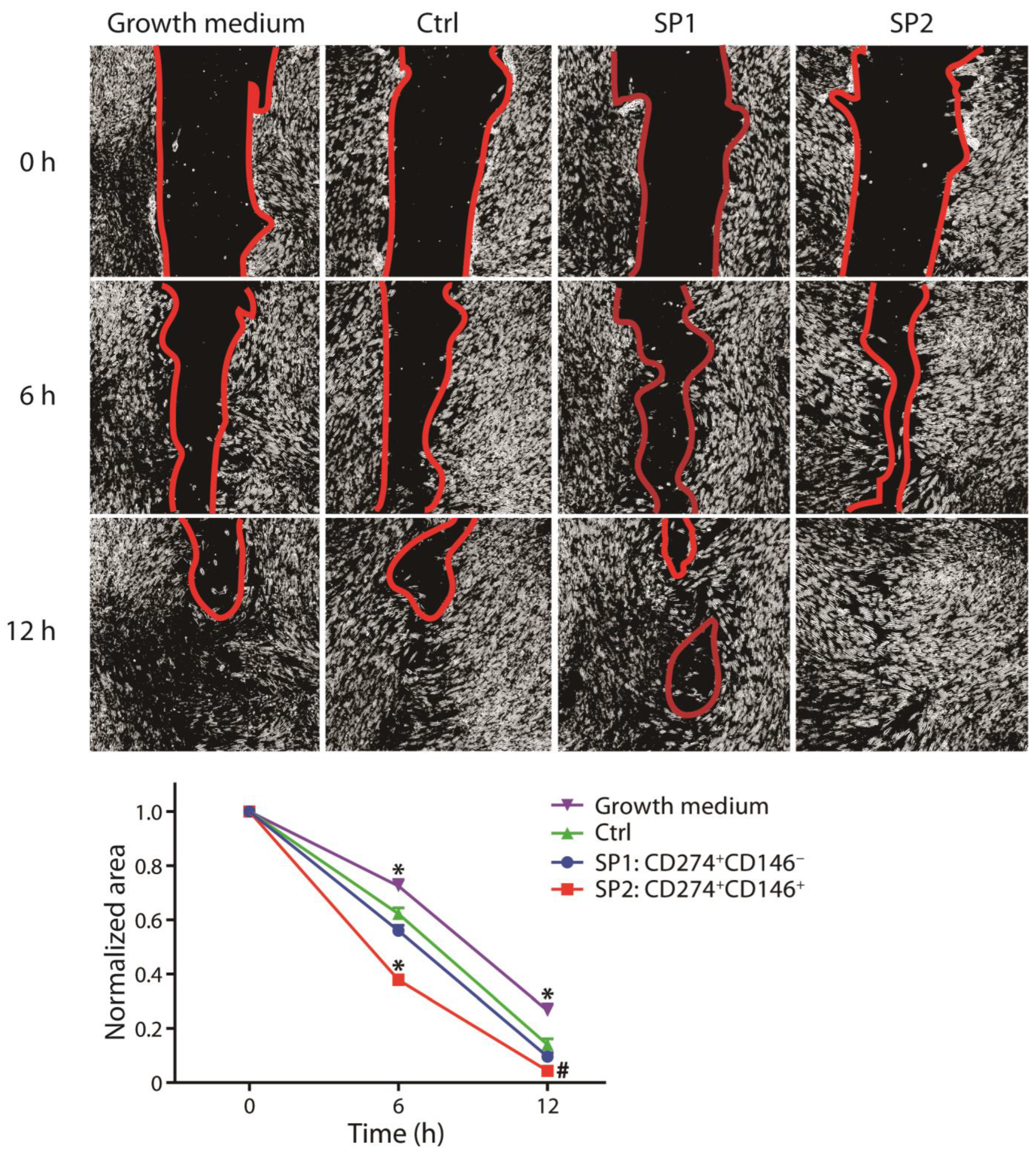 Cells 12 01095 g005 550
