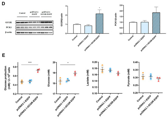 march様 アマビエ on X