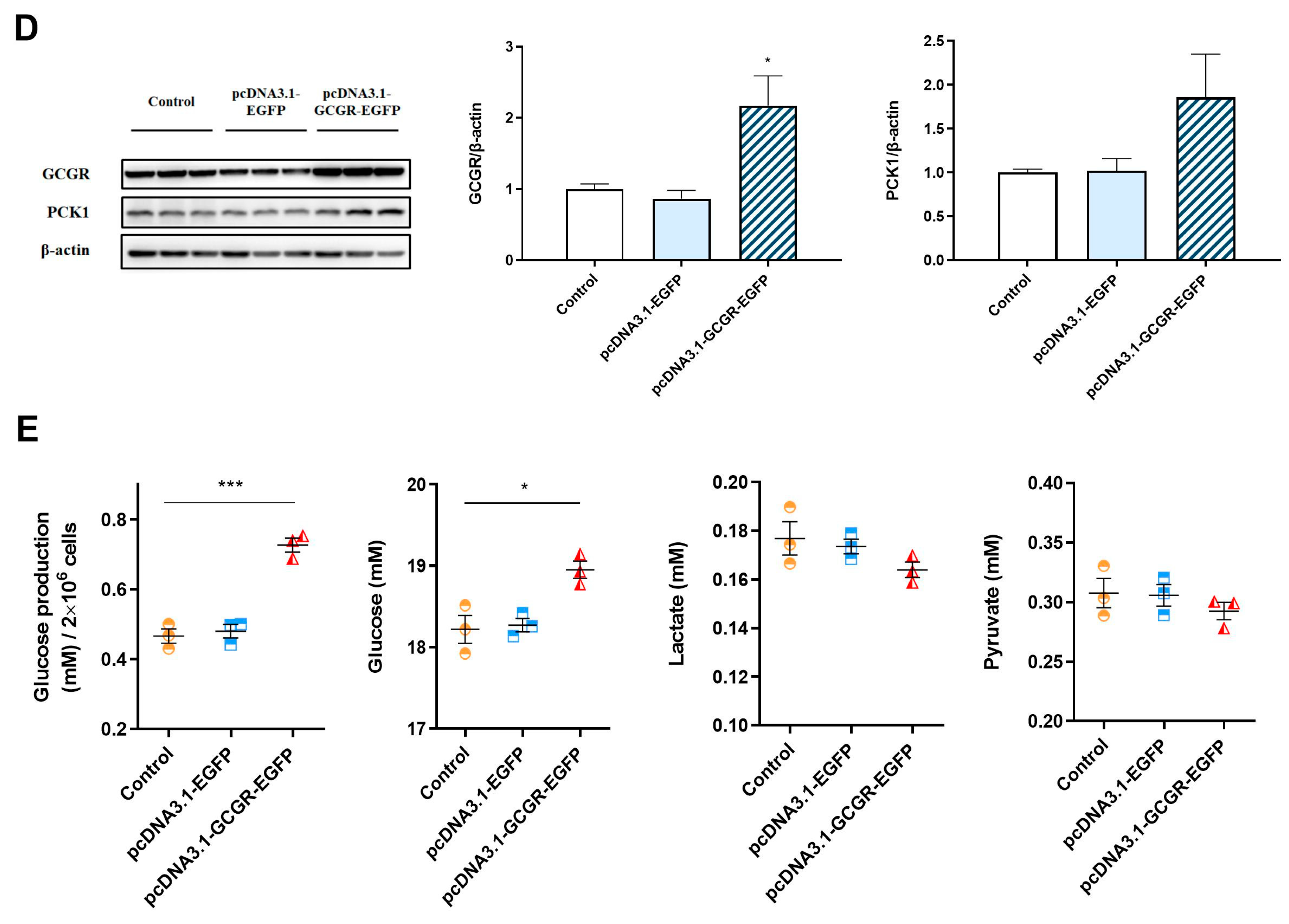 Cells 12 01098 g005b