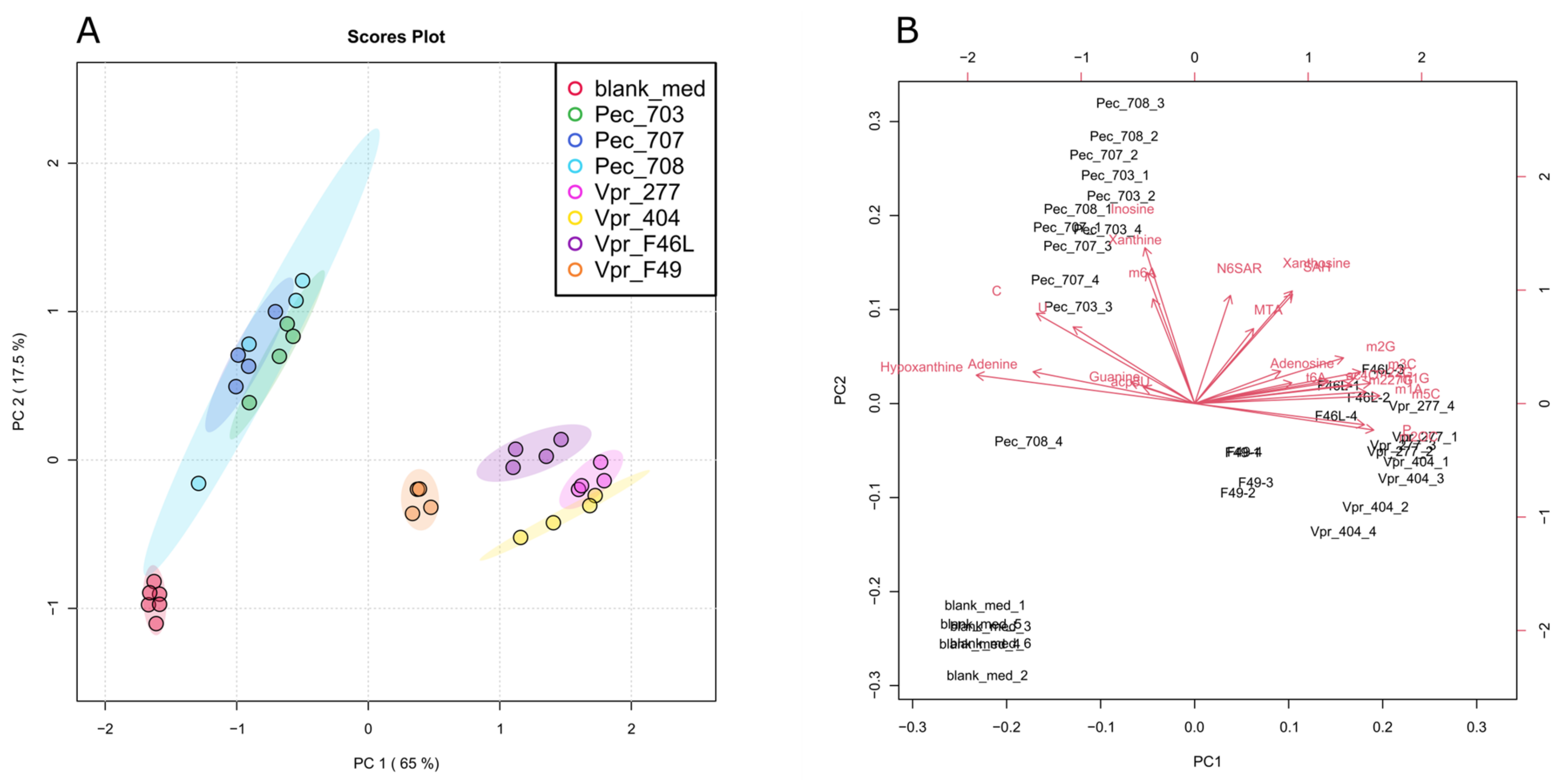 Cells 12 01102 g001 Cells 12 01102 g001
