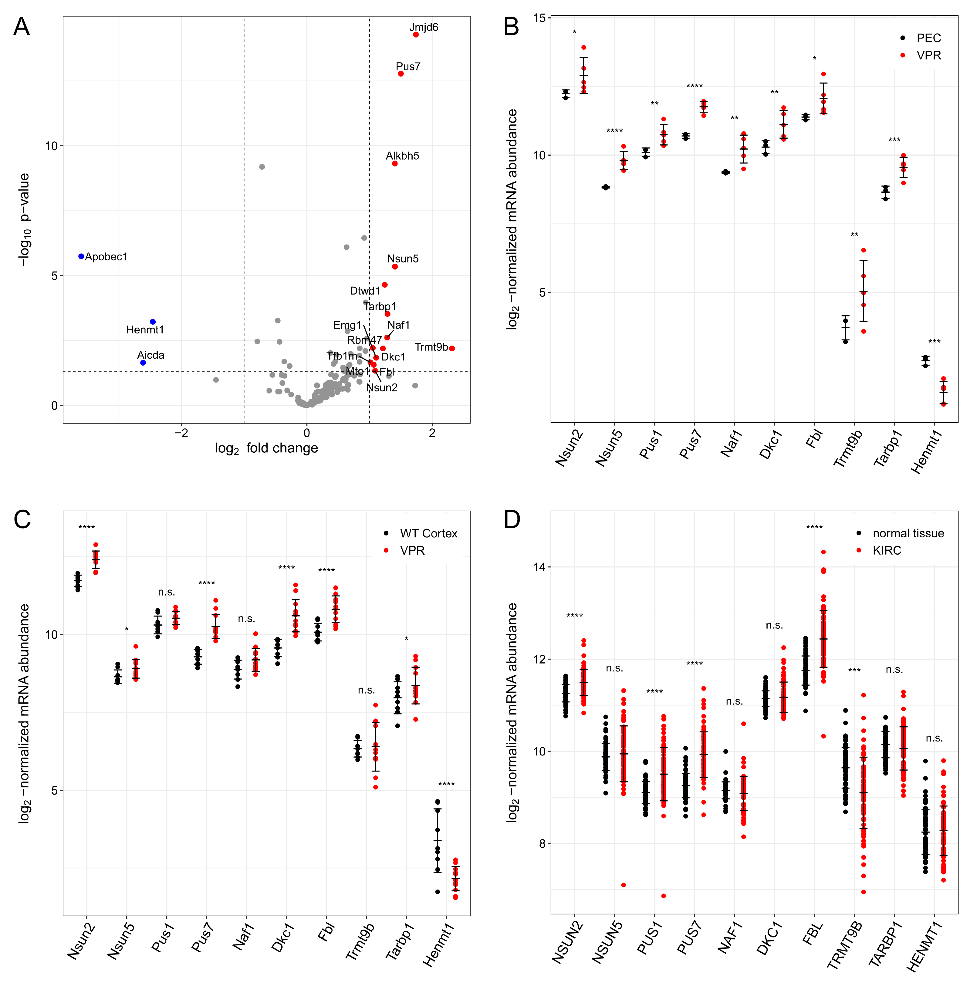 Cells 12 01102 g005 Cells 12 01102 g005