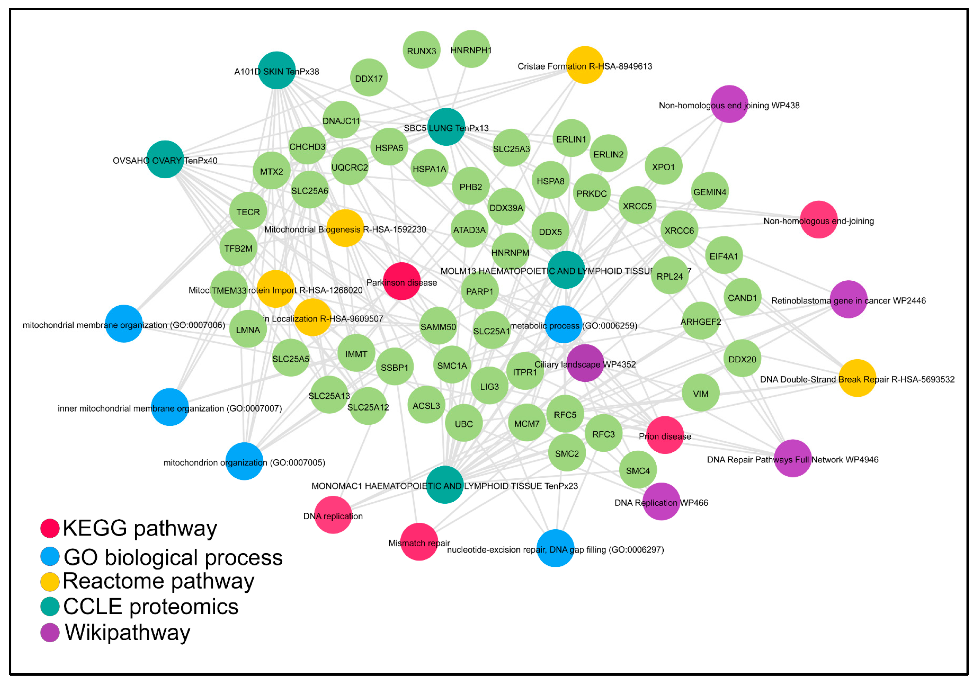 Cells 12 01106 g006 Cells 12 01106 g006