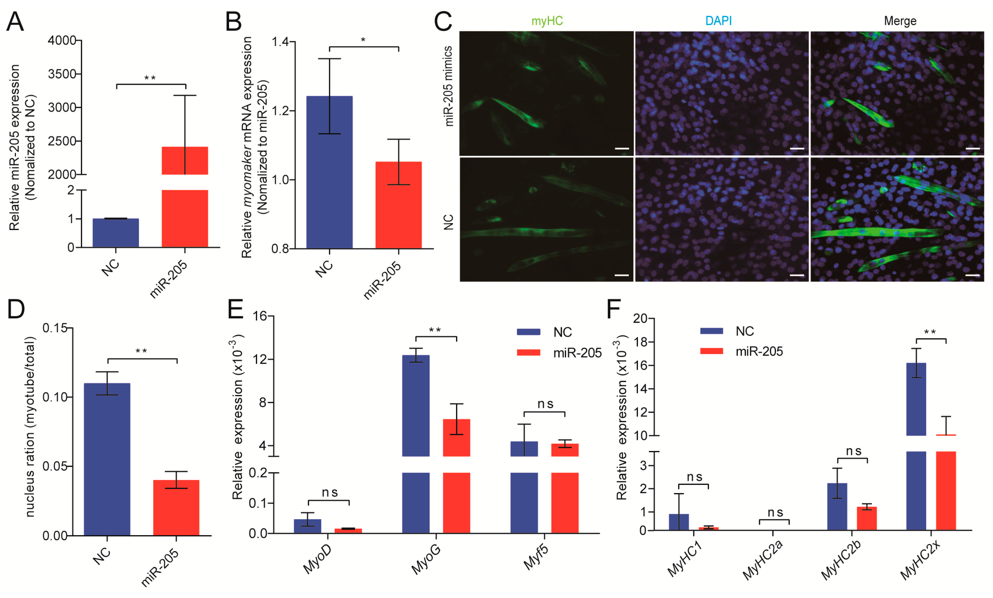 Cells 12 01107 g005 Cells 12 01107 g005