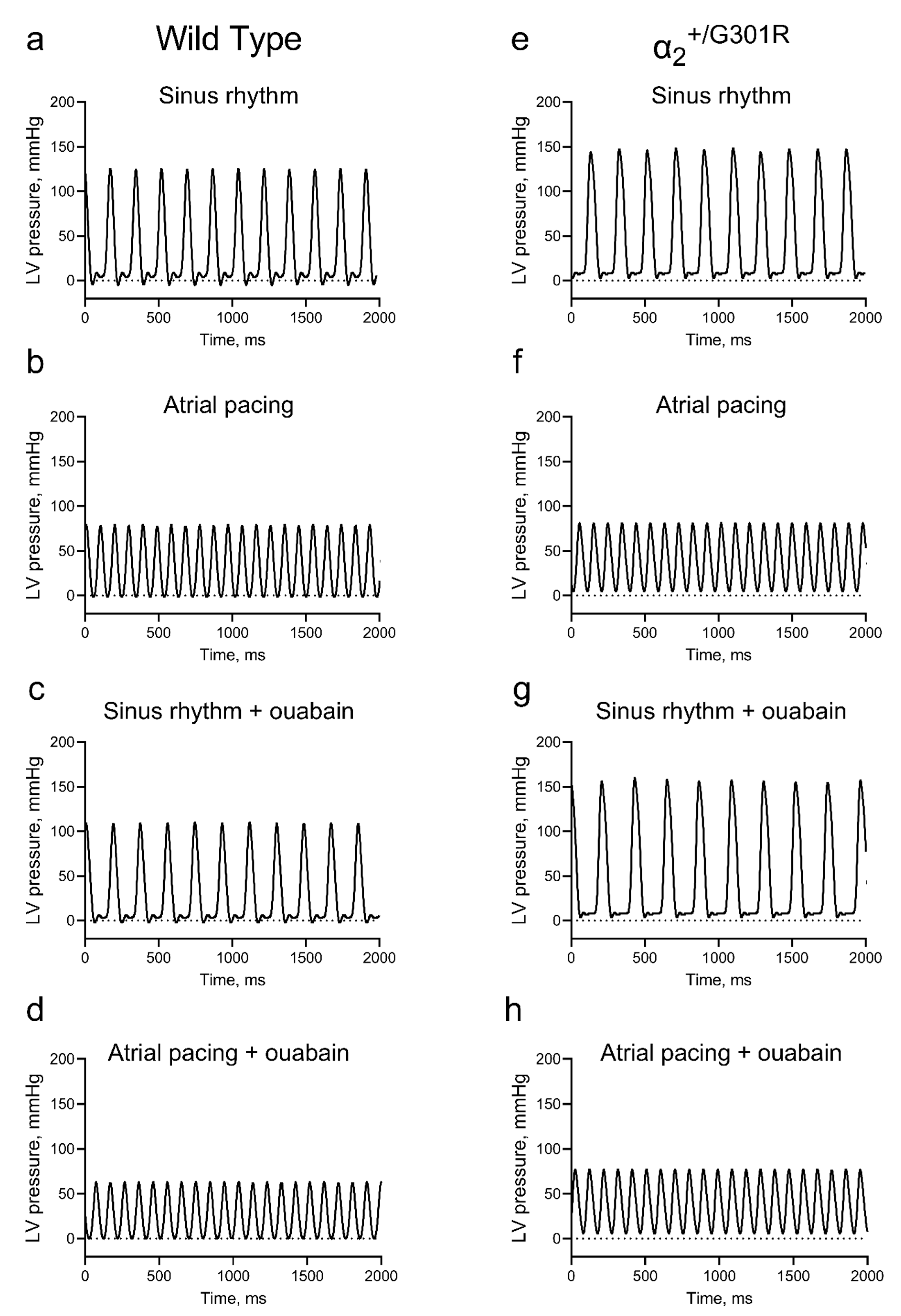Cells 12 01108 g002 Cells 12 01108 g002