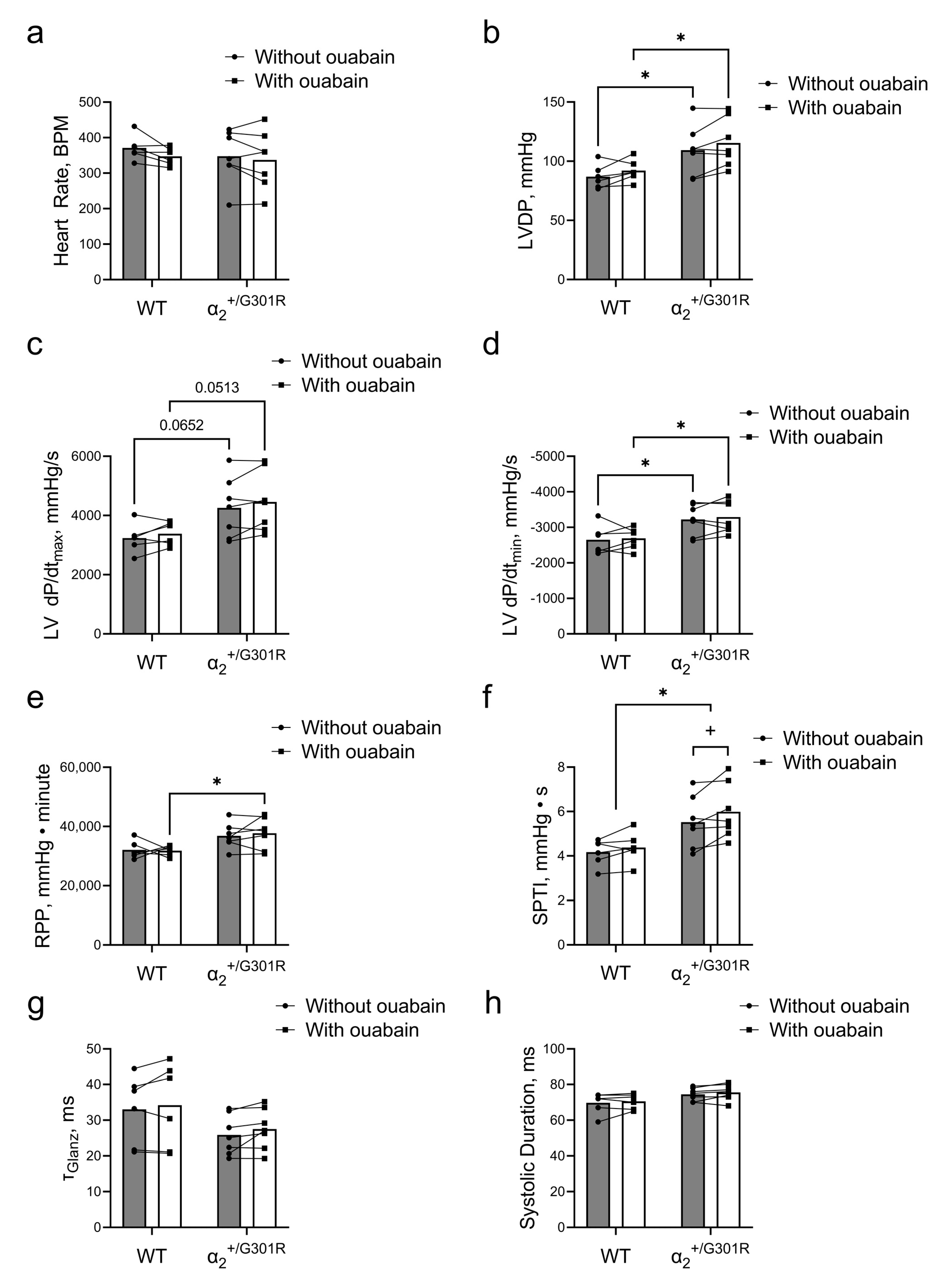 Cells 12 01108 g005 Cells 12 01108 g005