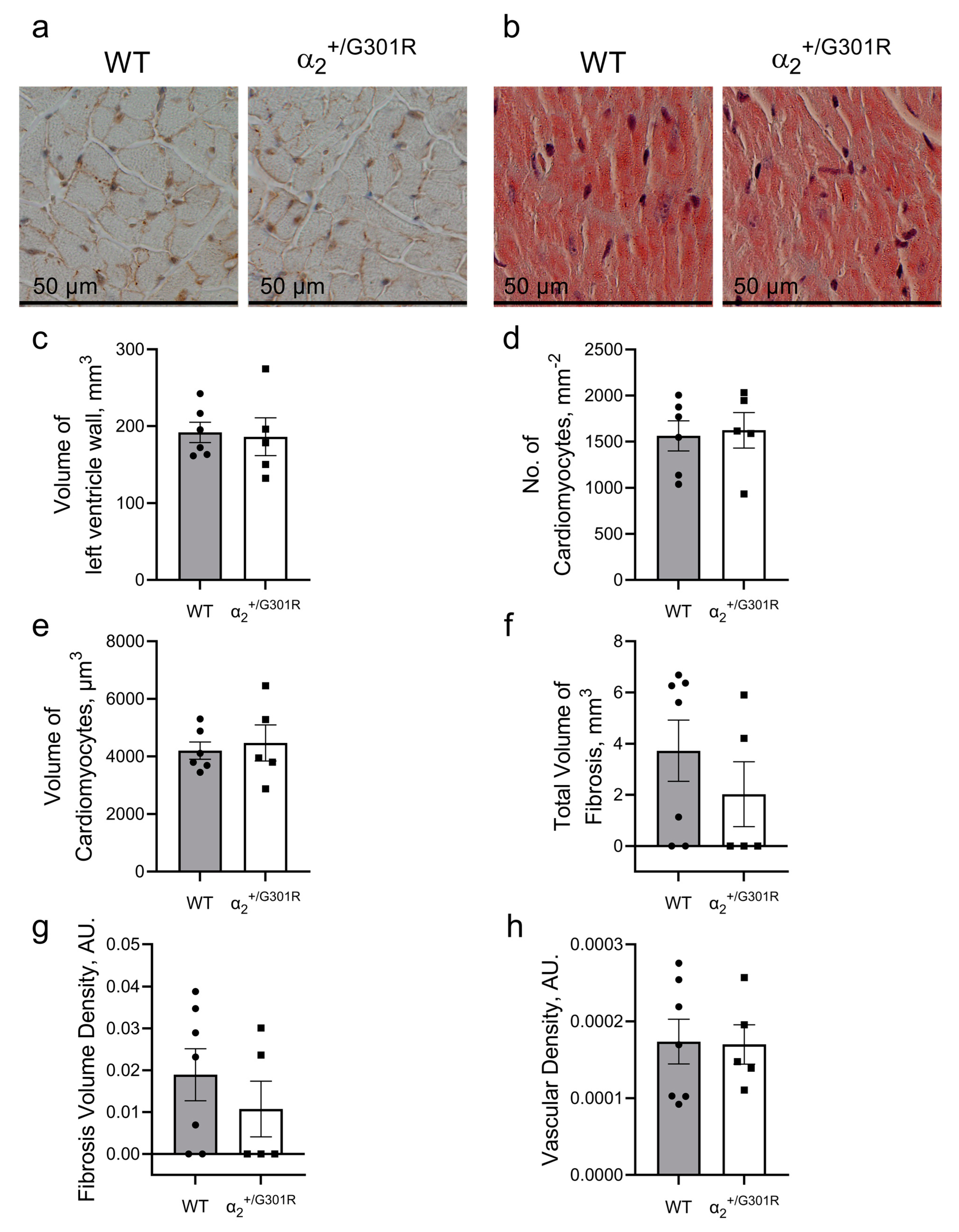 Cells 12 01108 g007 Cells 12 01108 g007