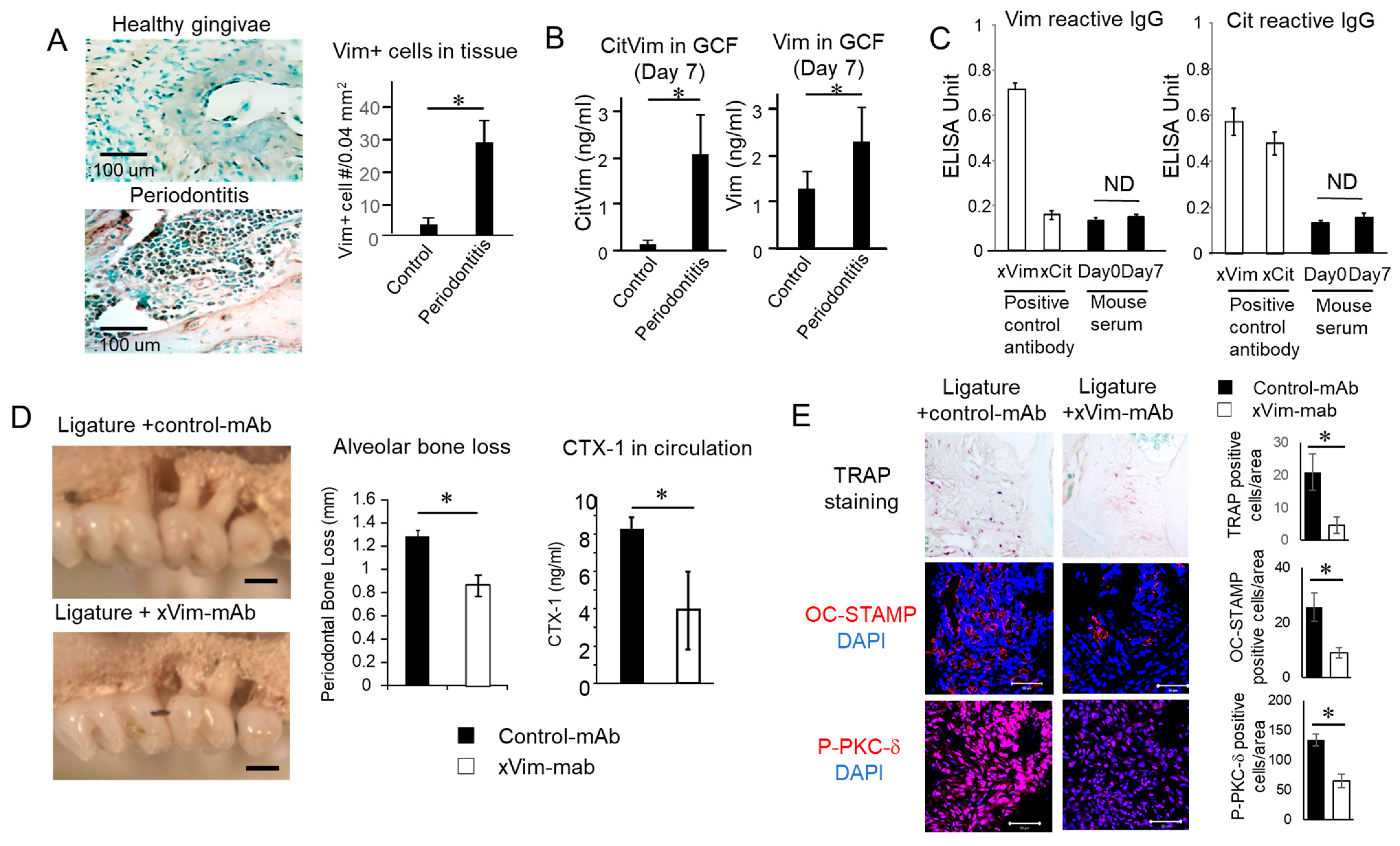 Cells 12 01109 g005 Cells 12 01109 g005