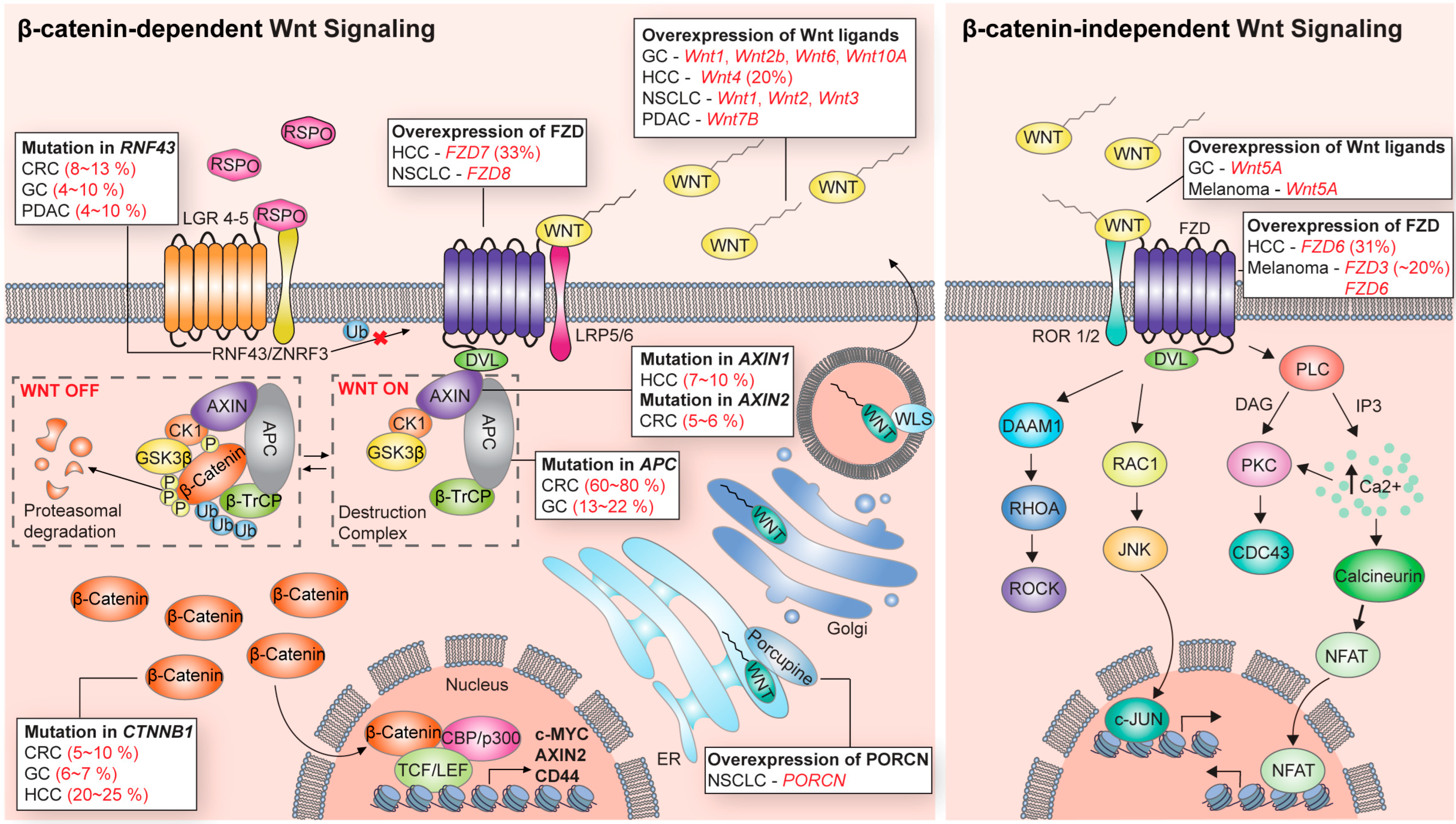 Cells 12 01110 g001 Cells 12 01110 g001