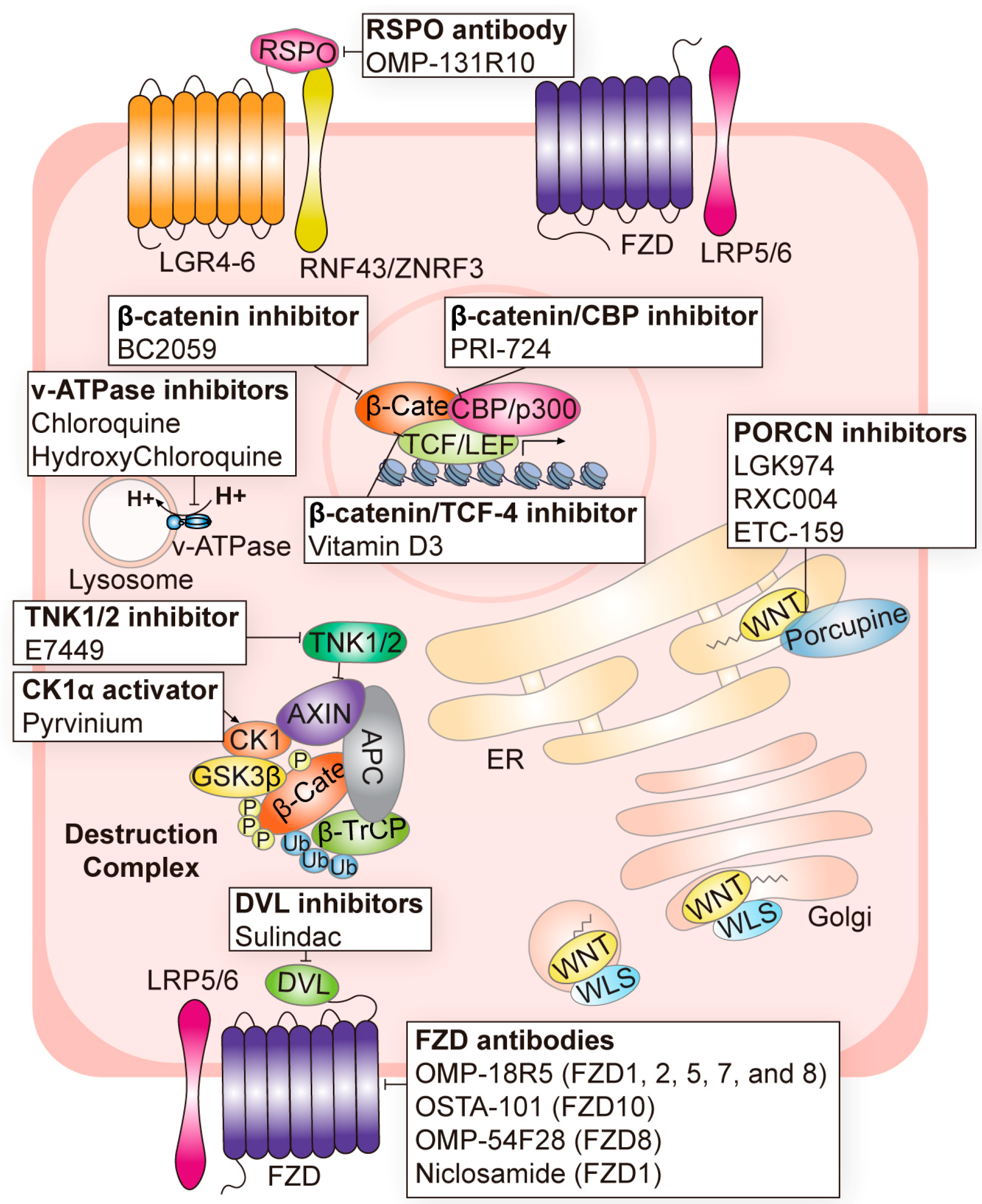Cells 12 01110 g002 Cells 12 01110 g002