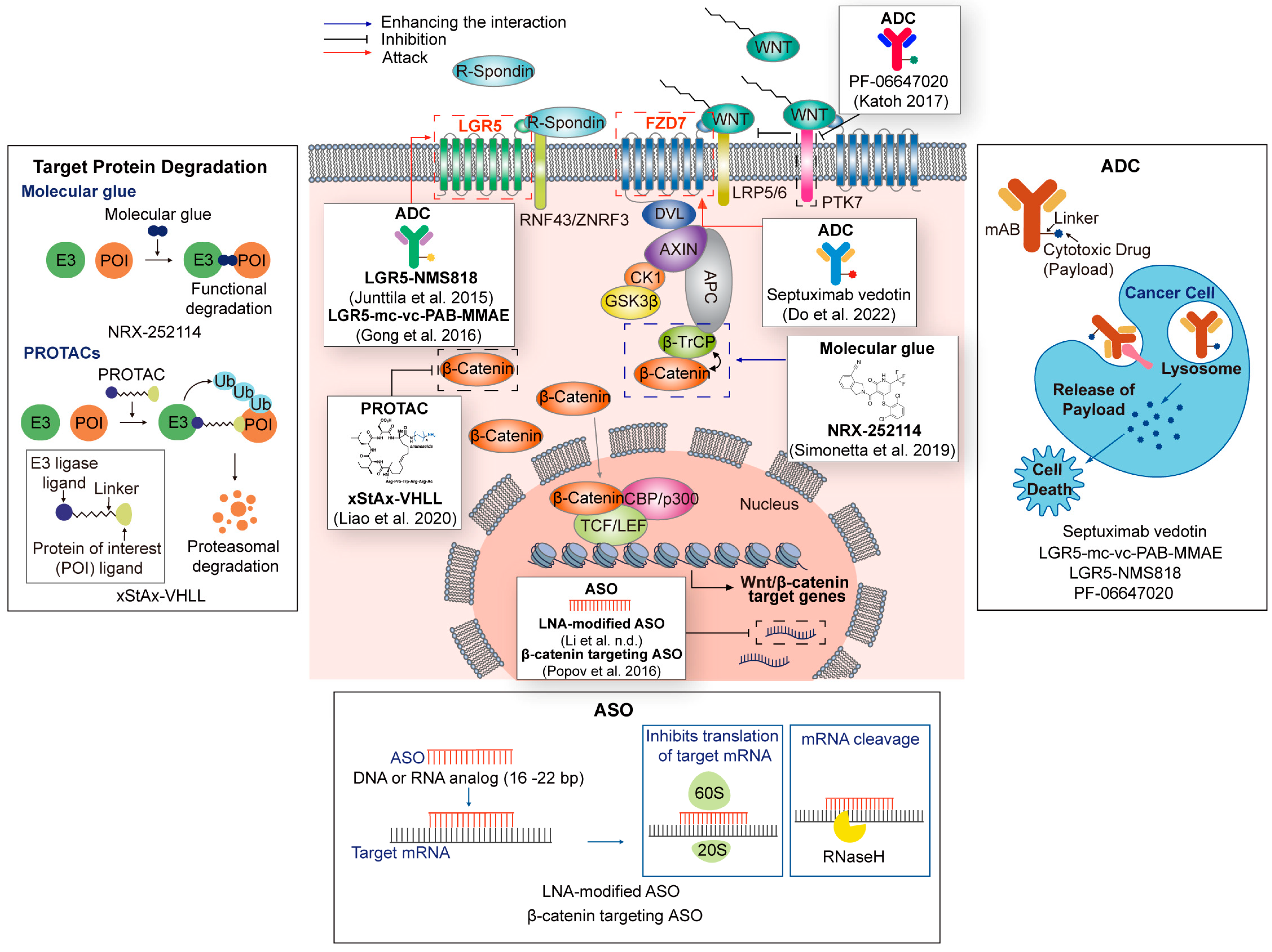 Cells 12 01110 g003 Cells 12 01110 g003