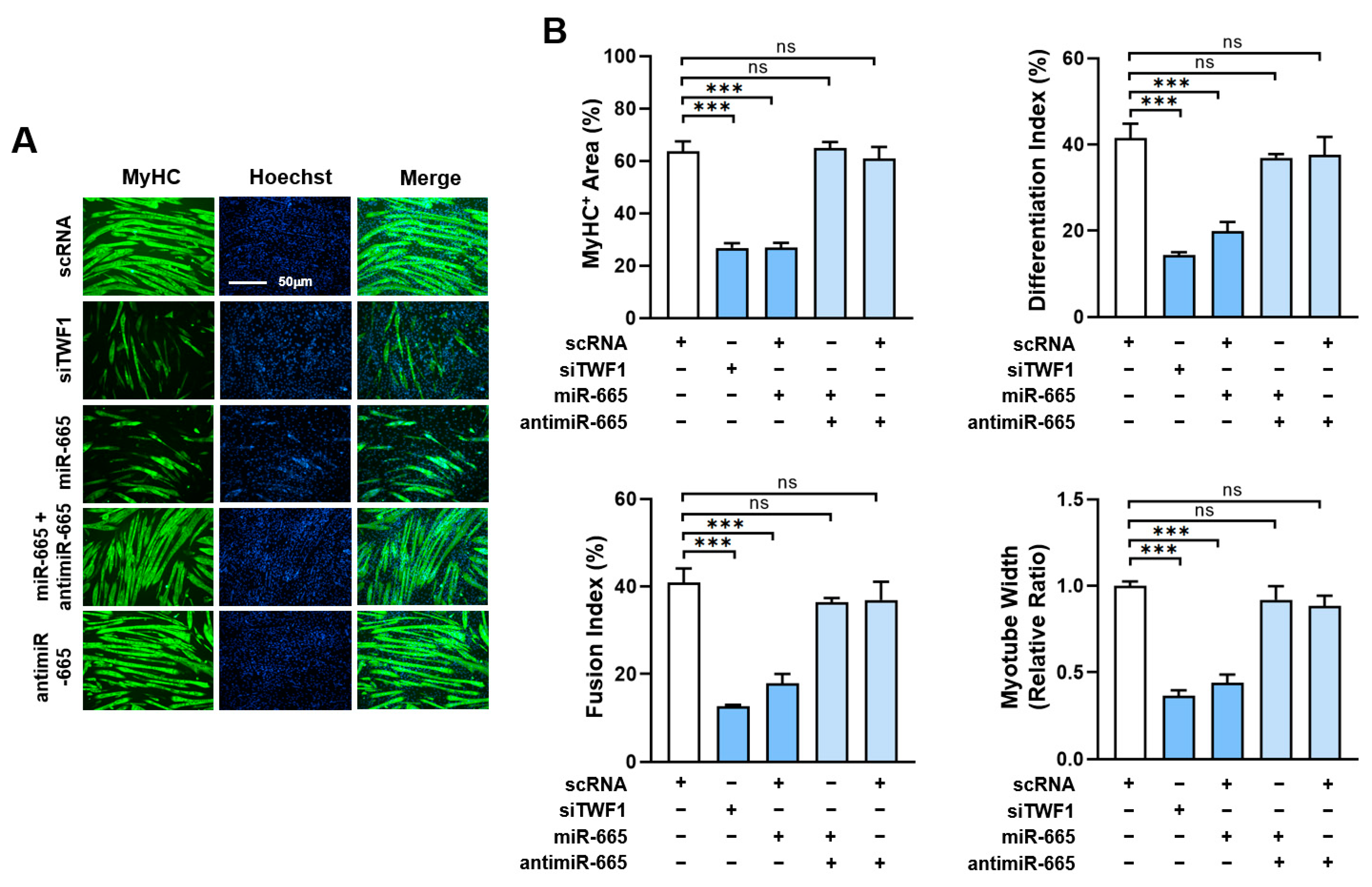Cells 12 01114 g006 Cells 12 01114 g006