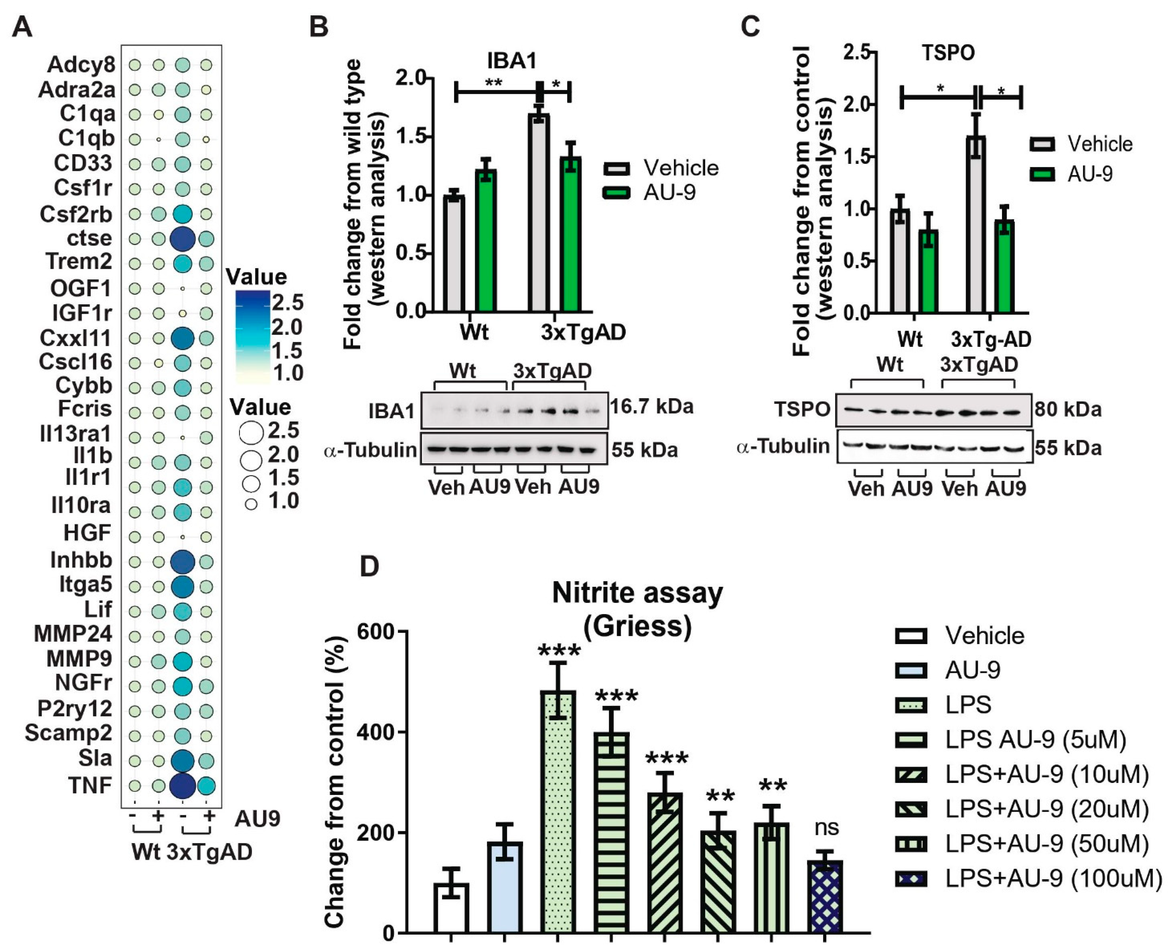 Cells 12 01116 g008 Cells 12 01116 g008