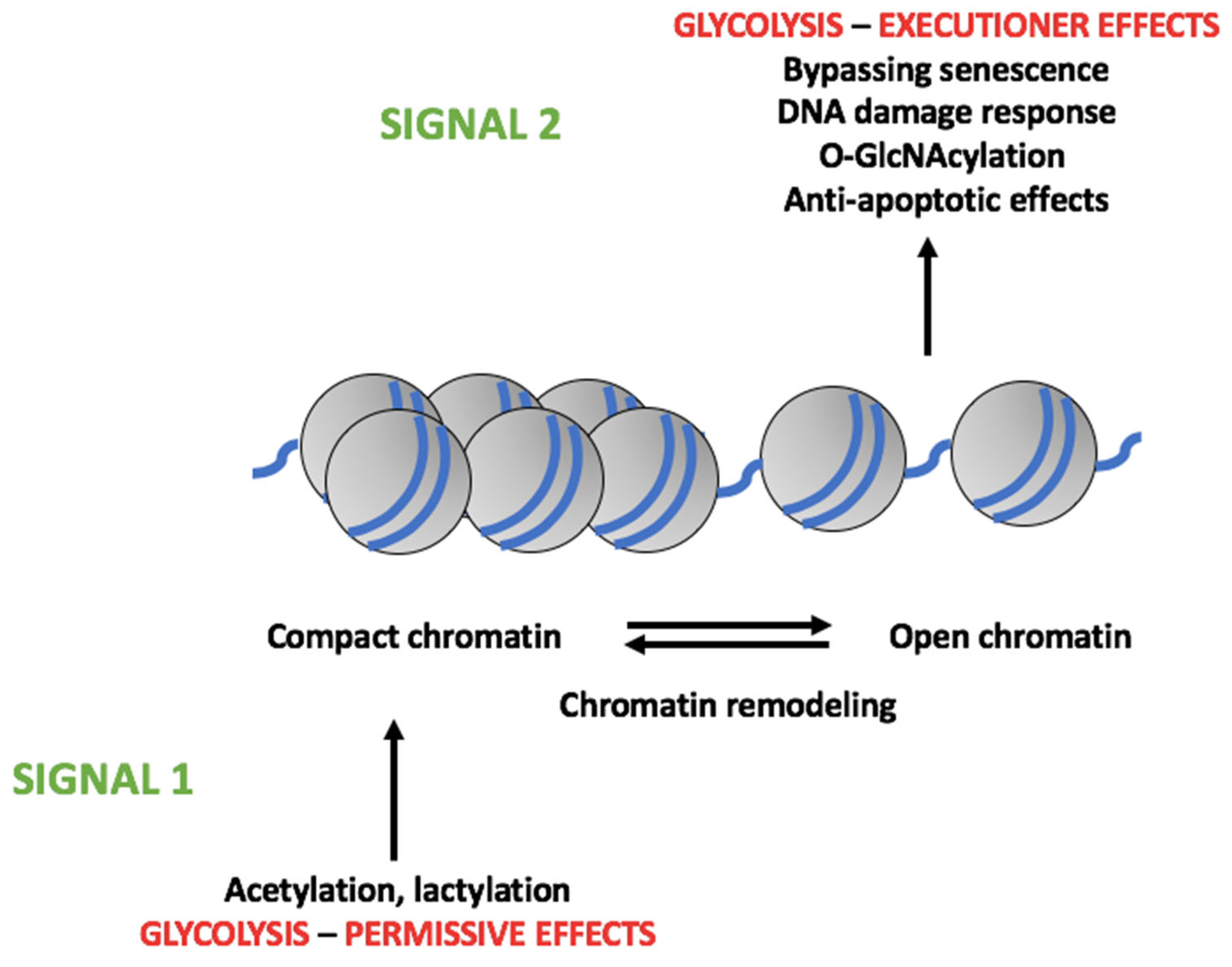 Cells 12 01124 g003 Cells 12 01124 g003