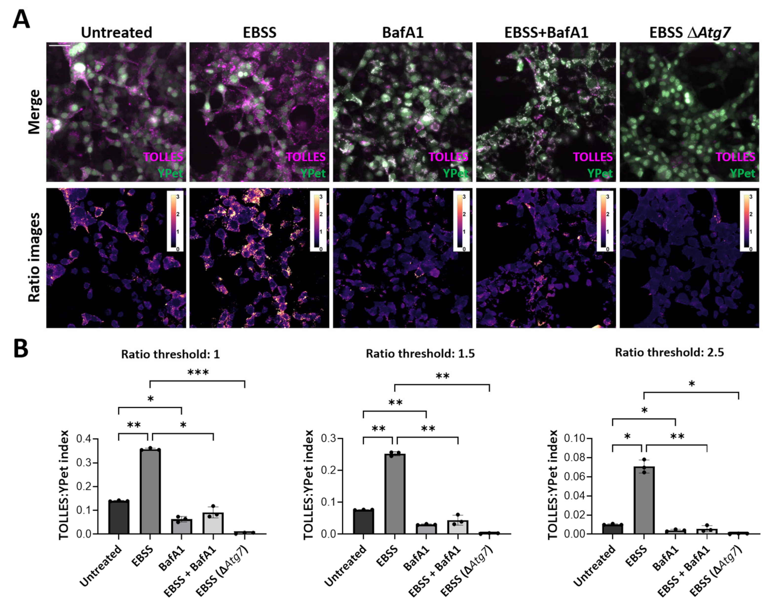 Cells 12 01134 g002 Cells 12 01134 g002