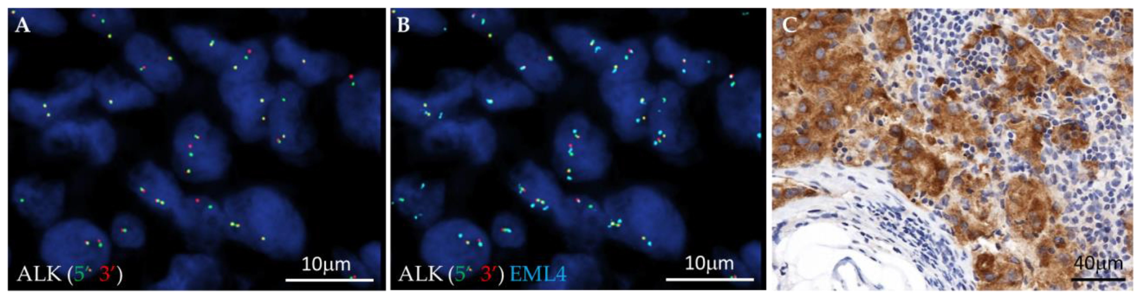 Cells 12 01135 g001 Cells 12 01135 g001