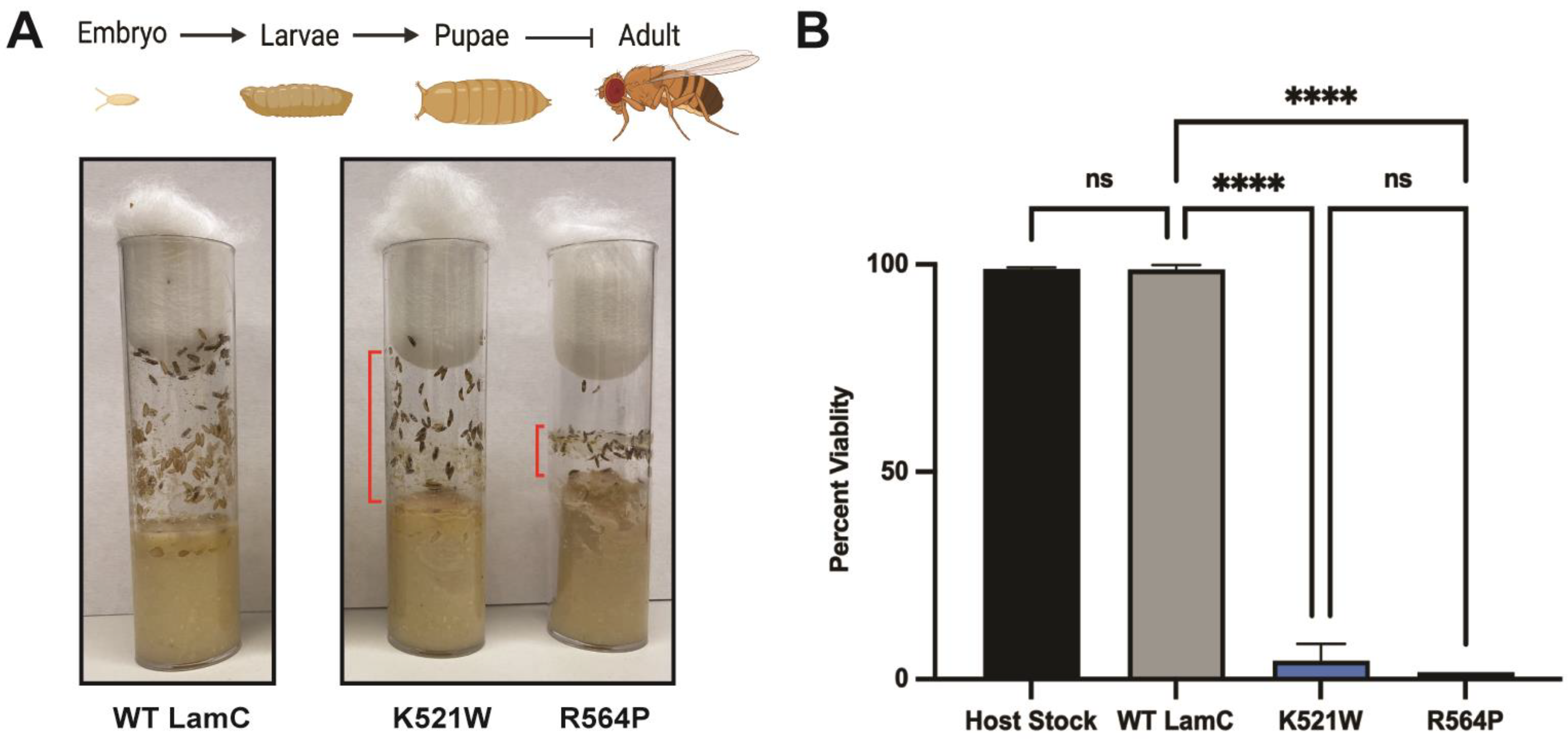 Cells 12 01142 g005 Cells 12 01142 g005