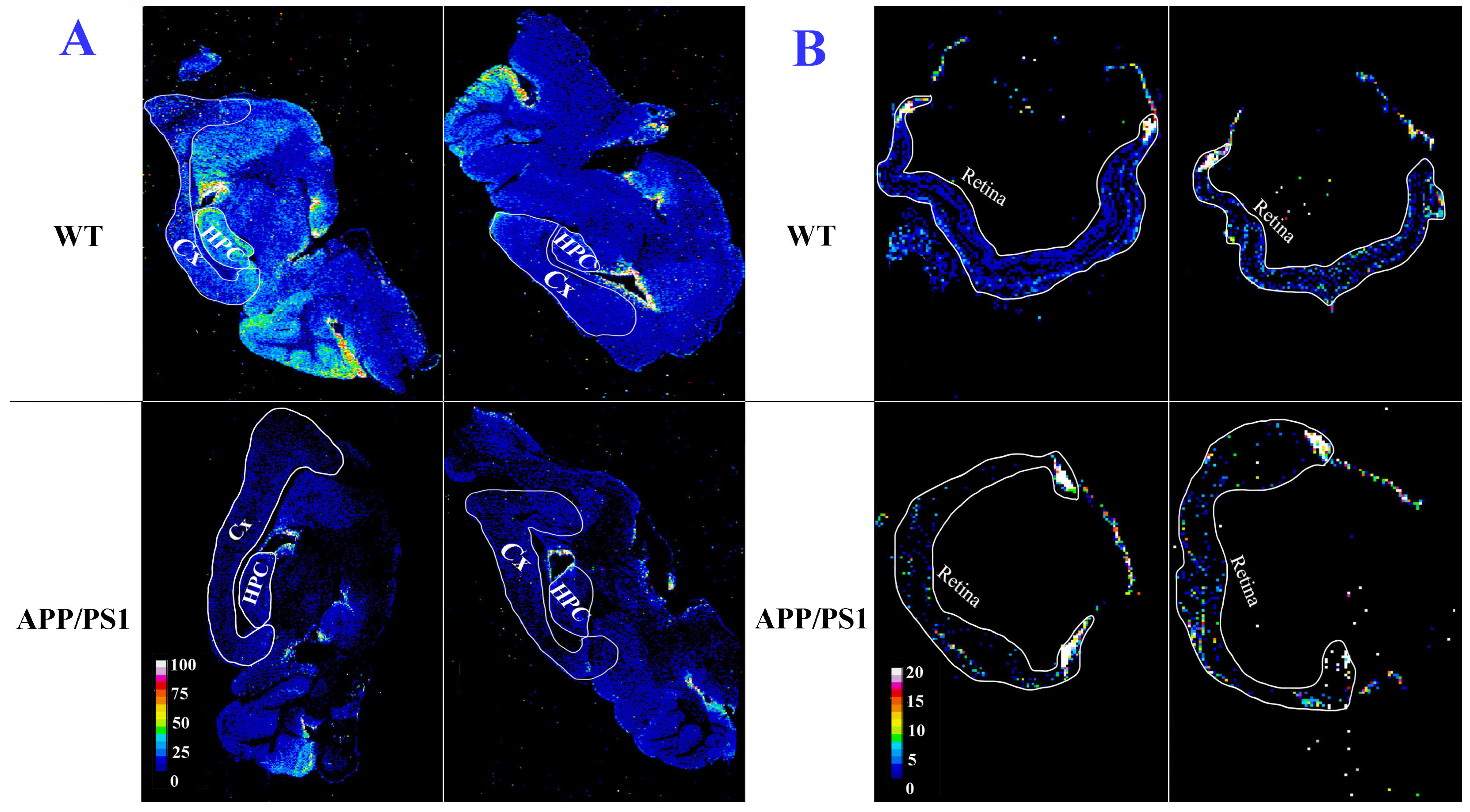 Cells 12 01144 g001 Cells 12 01144 g001