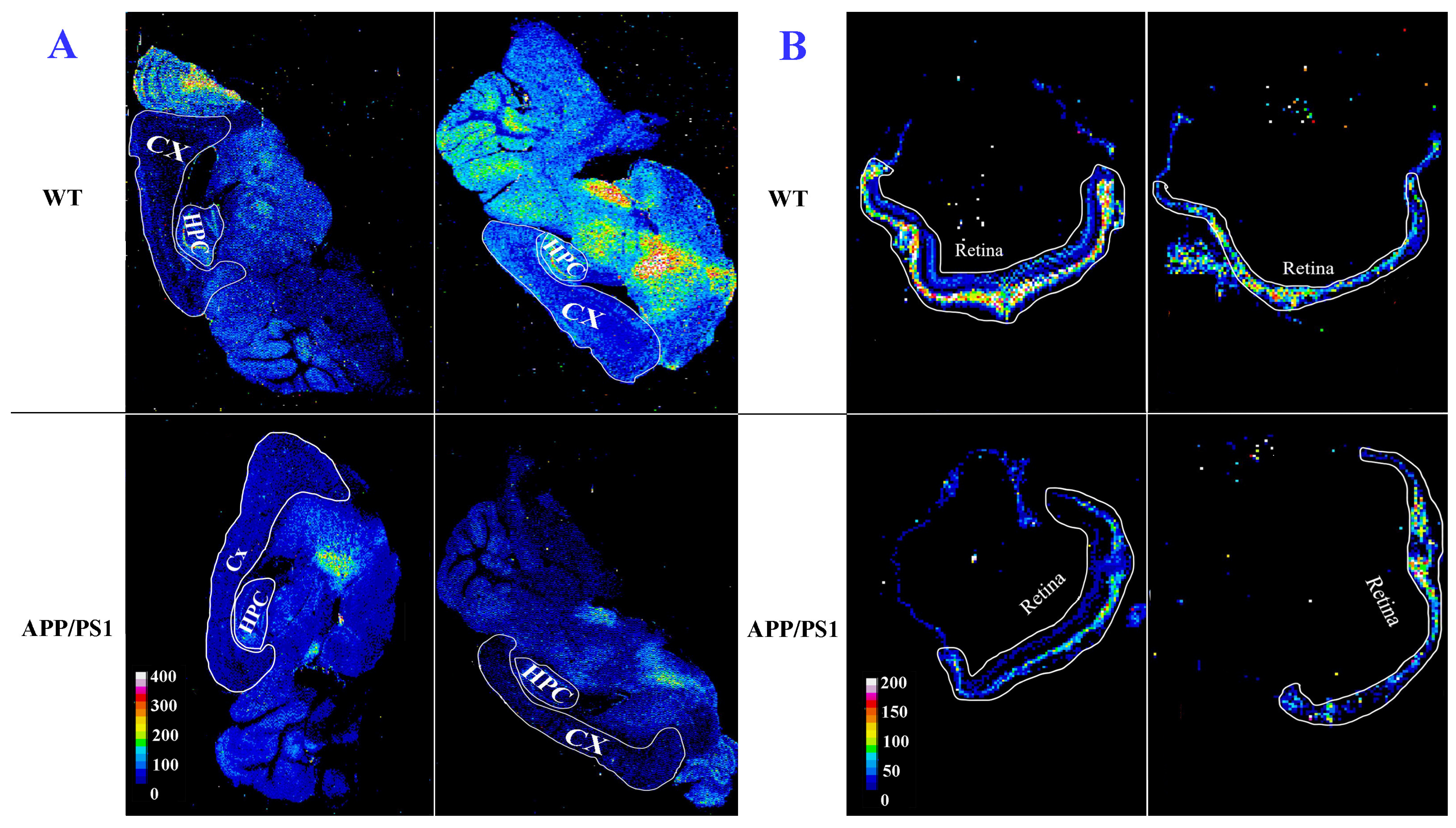 Cells 12 01144 g003 Cells 12 01144 g003