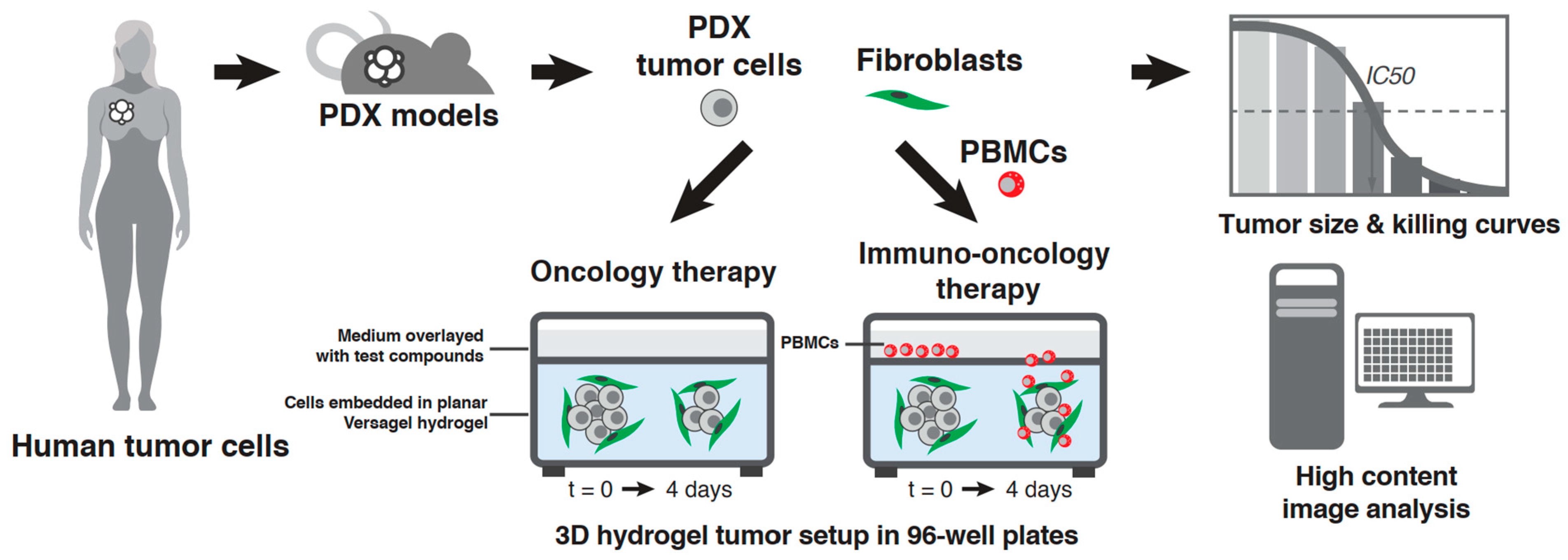 Cells 12 01145 g001 Cells 12 01145 g001