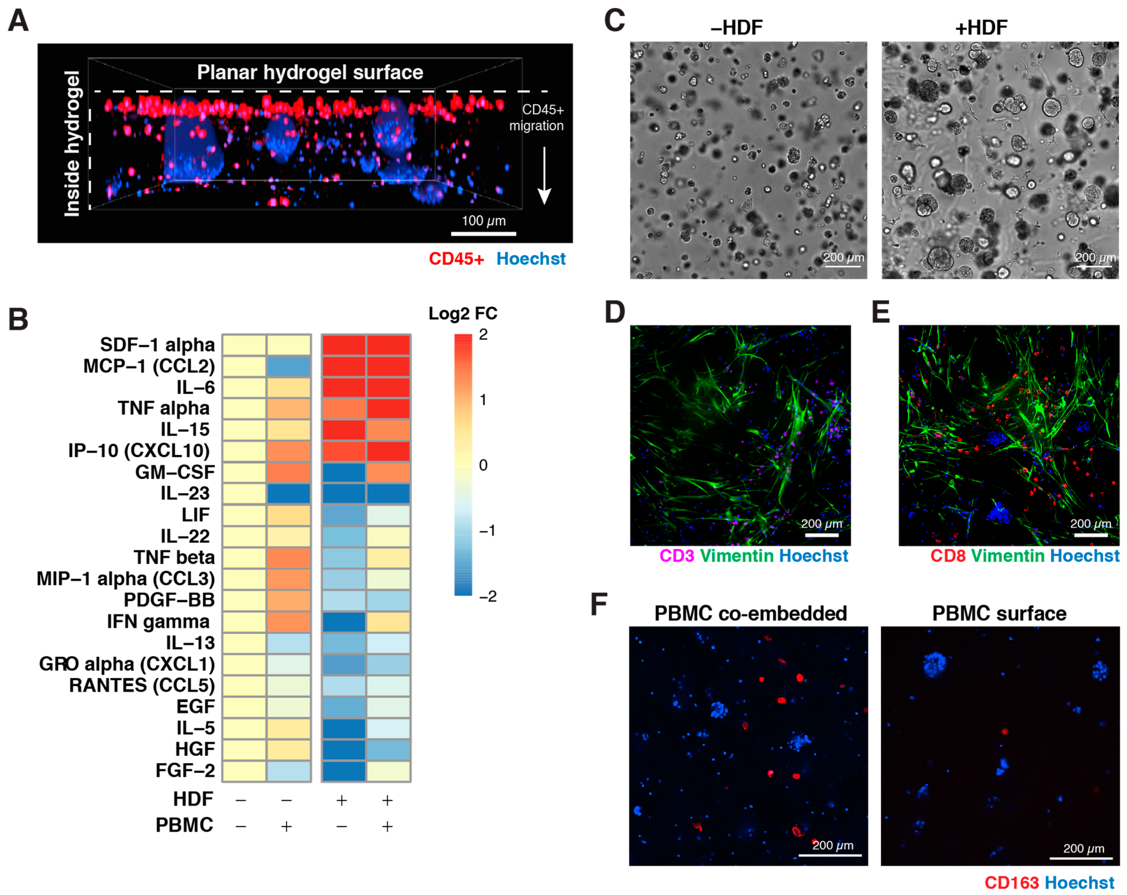 Cells 12 01145 g002 Cells 12 01145 g002