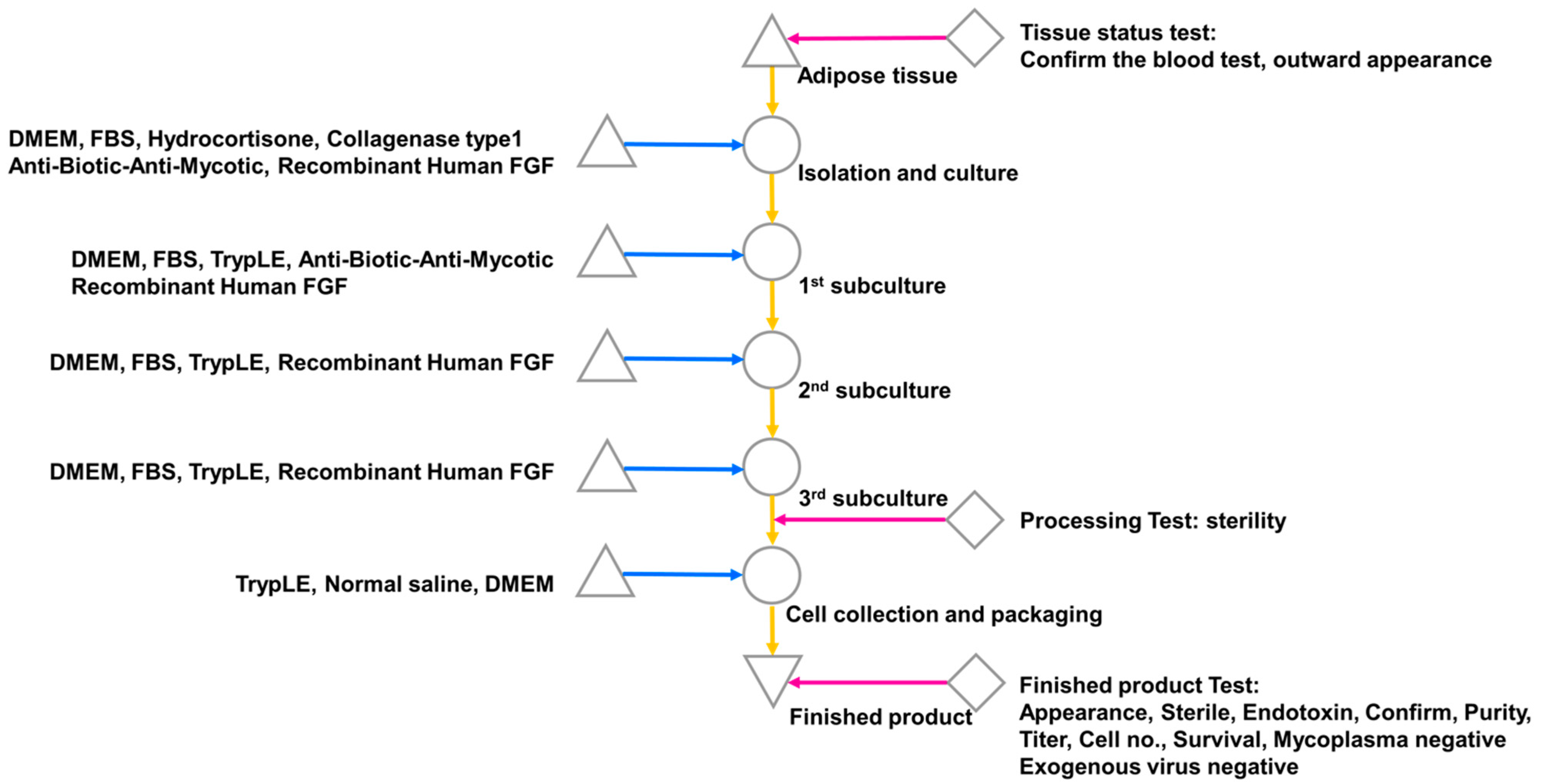 Cells 12 01146 g001 Cells 12 01146 g001