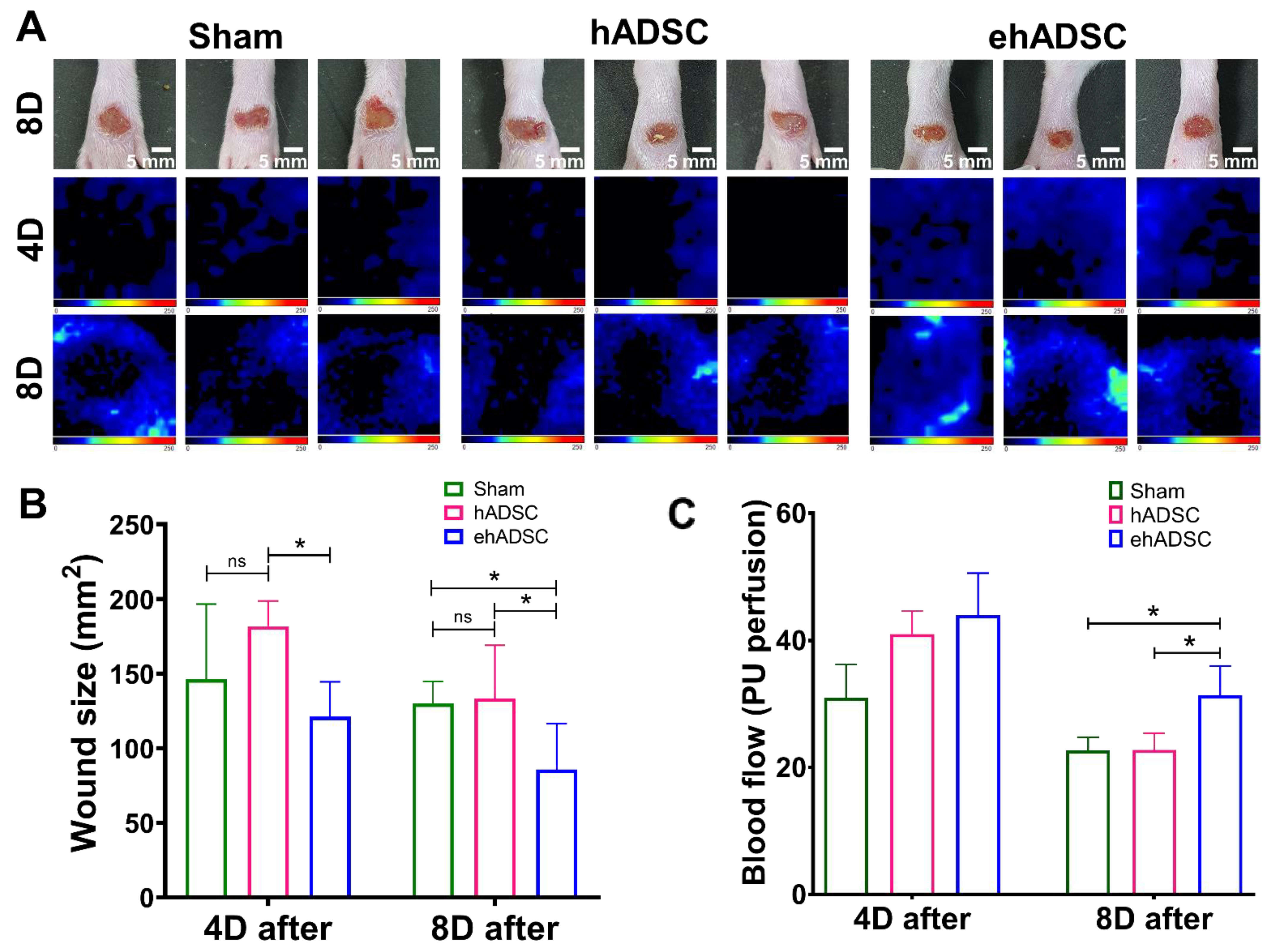 Cells 12 01146 g004 Cells 12 01146 g004