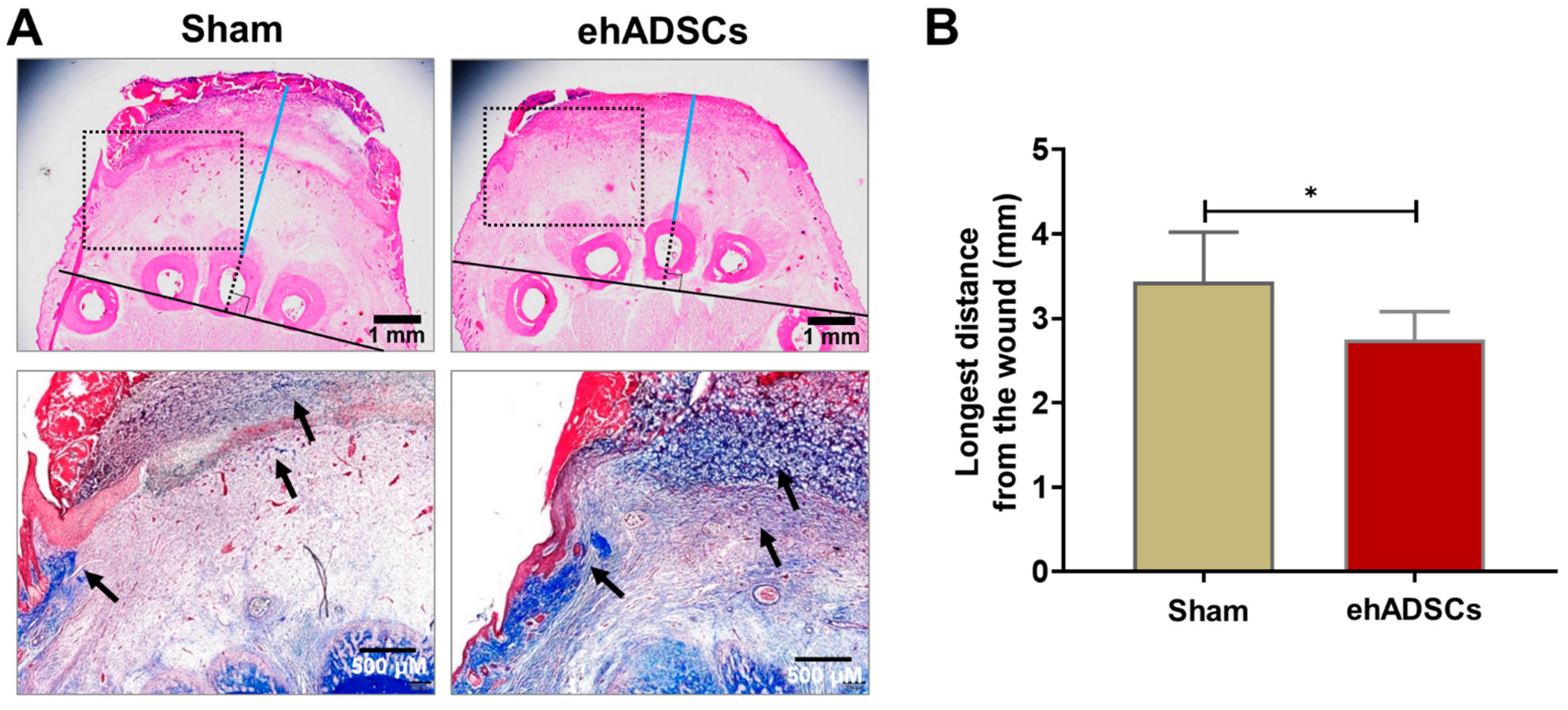 Cells 12 01146 g005 Cells 12 01146 g005